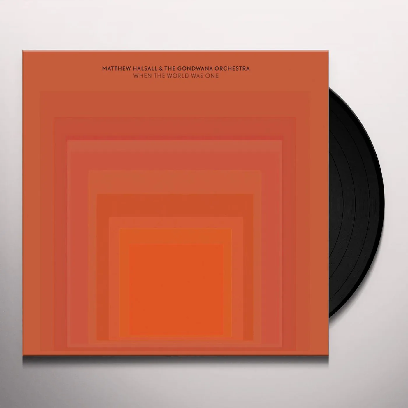 Matthew Halsall & The Gondwana Orchestra WHEN THE WORLD WAS ONE Vinyl Record
