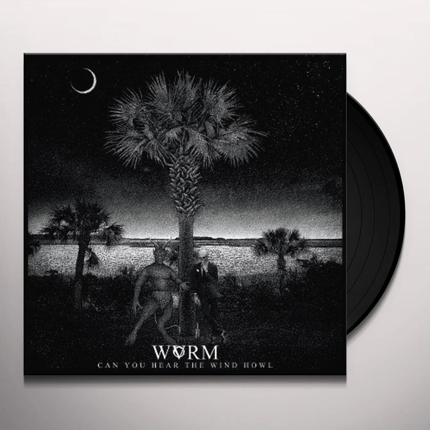WVRM Can You Hear the Wind Howl Vinyl Record