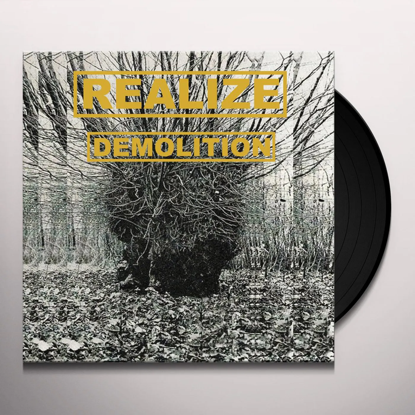 Realize Demolition Vinyl Record