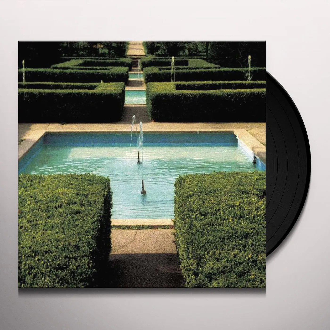 Ducks Ltd. Get Bleak Vinyl Record