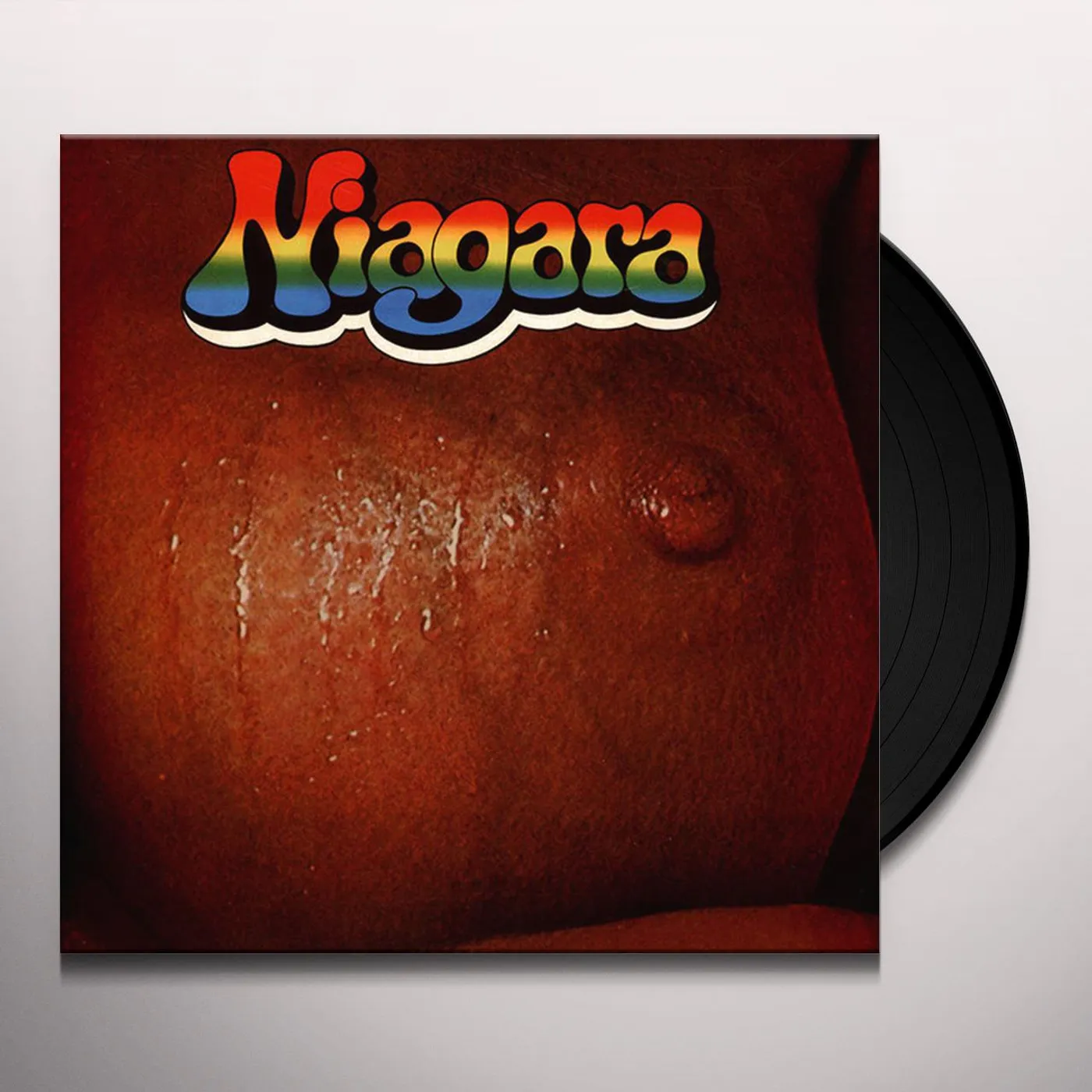 NIAGARA Vinyl Record