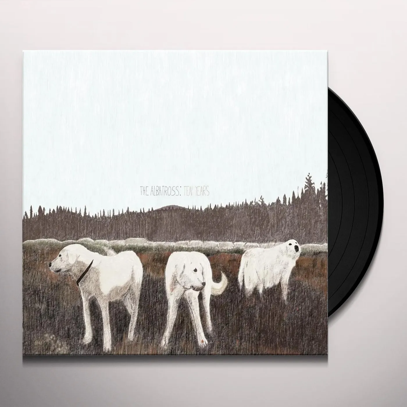 Foxing ALBATROSS: TEN YEARS Vinyl Record