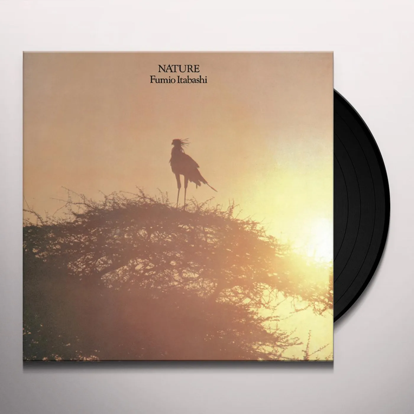 Fumio Itabashi Nature Vinyl Record
