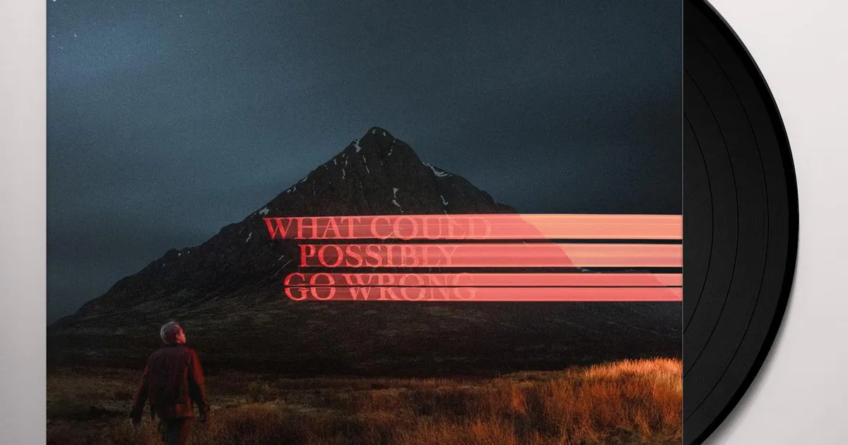 米LP Dominic Fike What Could Possibly Go Wrong 19439781531 Columbia /00400 Dominic Fike – What Could Possibly Go Wrong – Vinyl (Signed