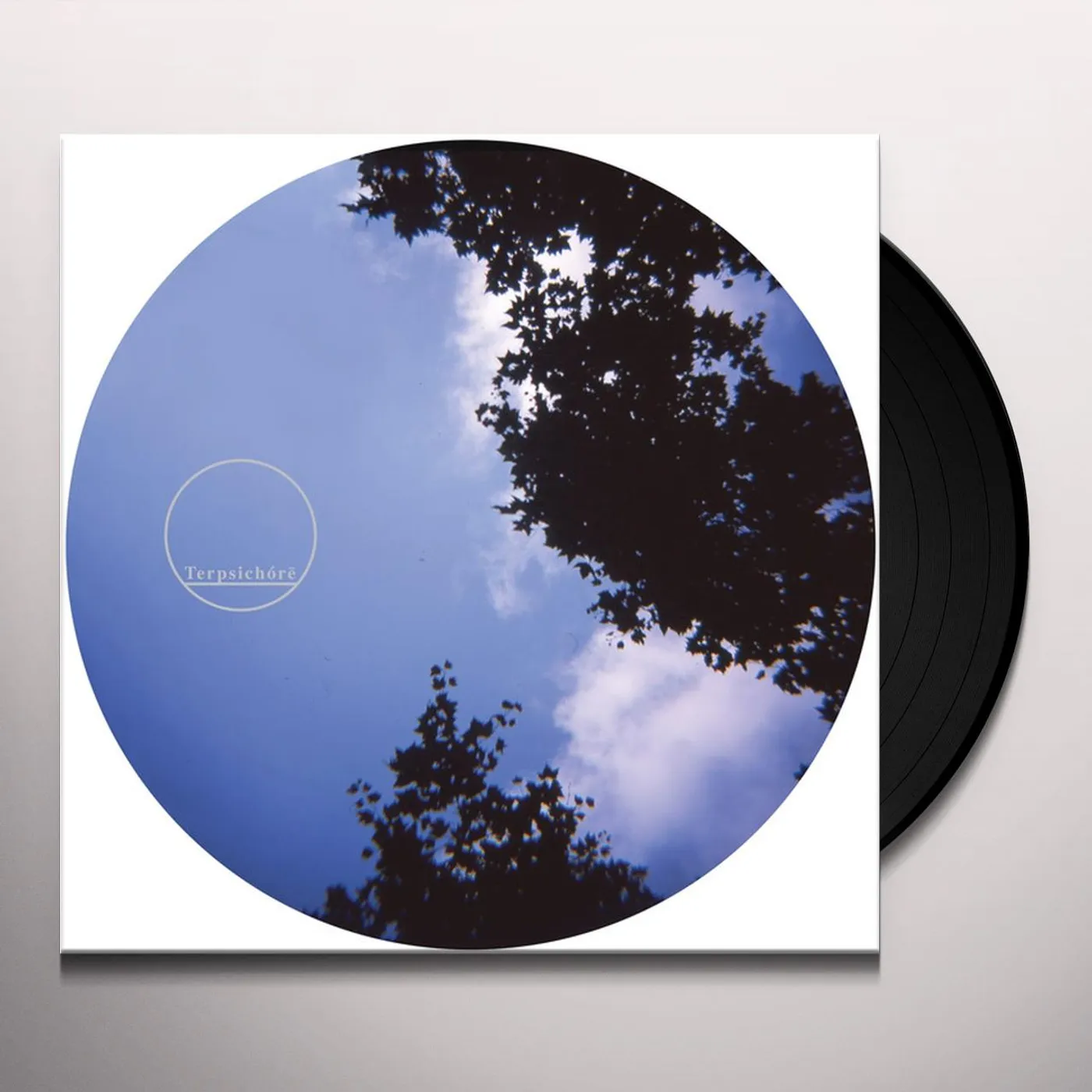 The Florian Muller Project AS USUAL Vinyl Record