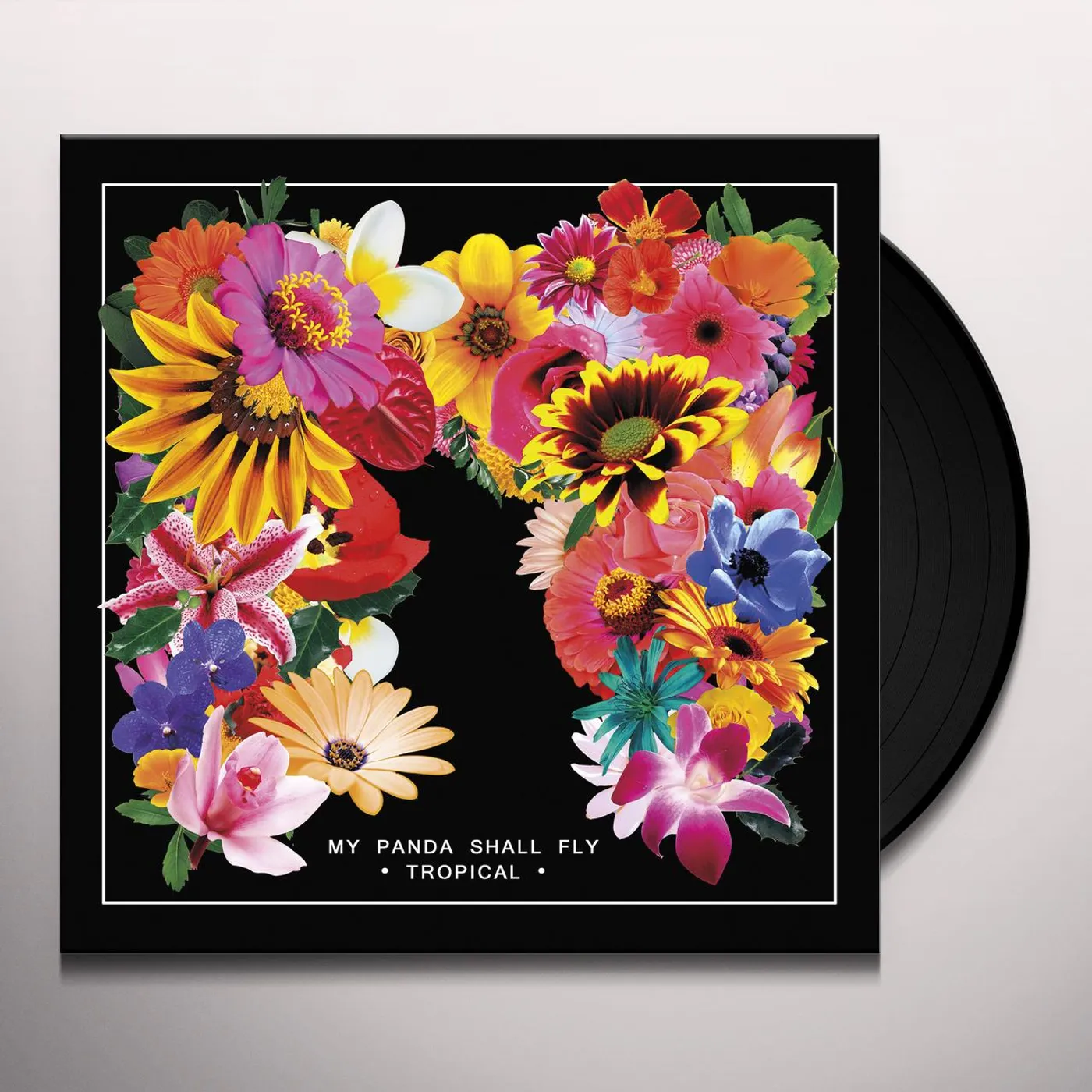 My Panda Shall Fly Tropical Vinyl Record