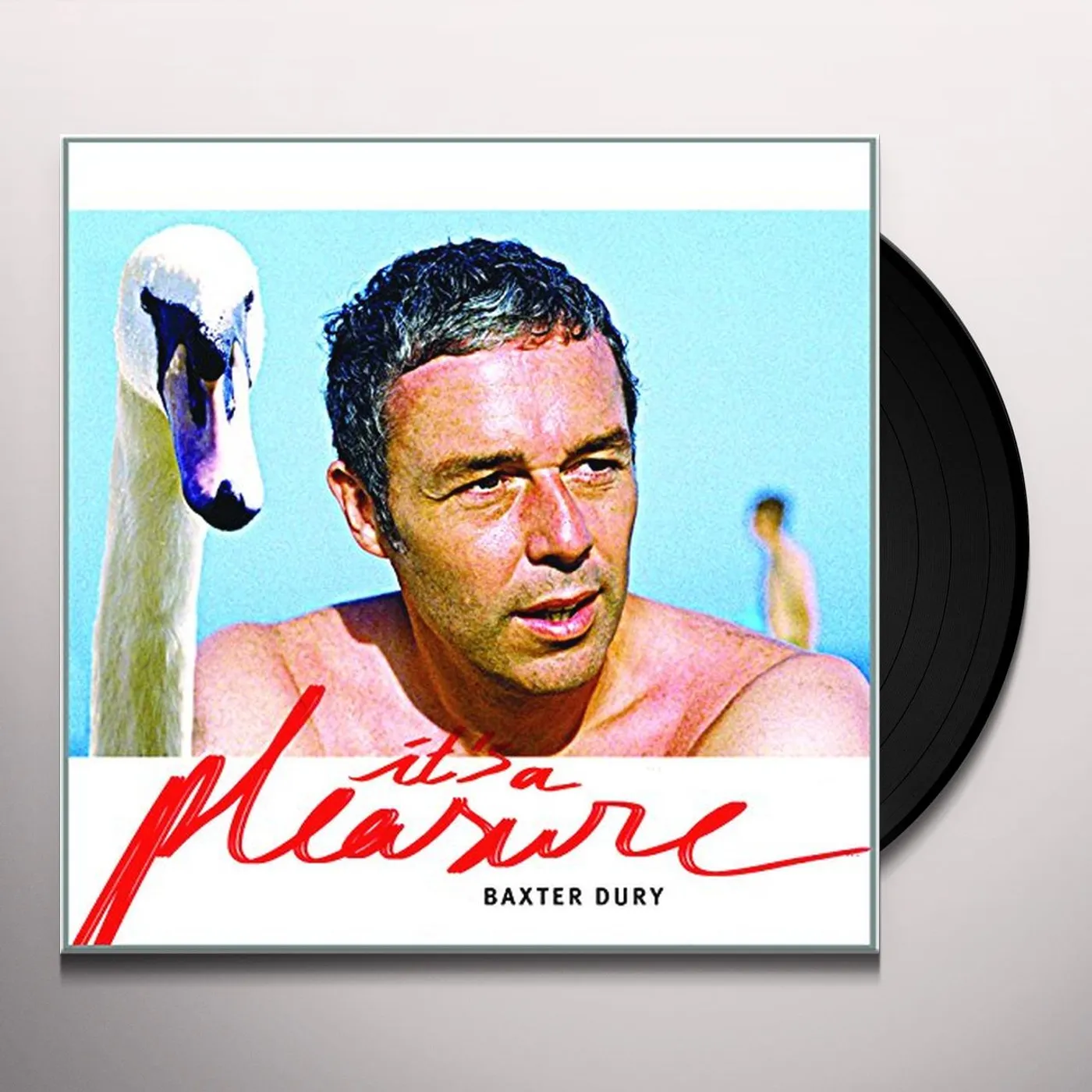 Baxter Dury It's A Pleasure Vinyl Record