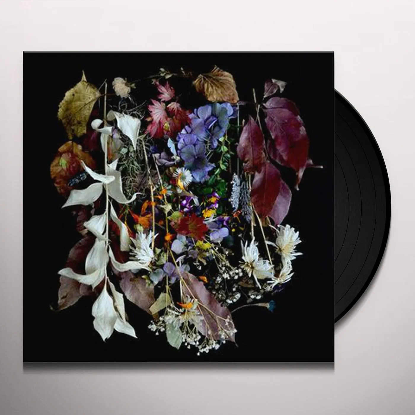 PAWS YOUR CHURCH ON BONFIRE Vinyl Record