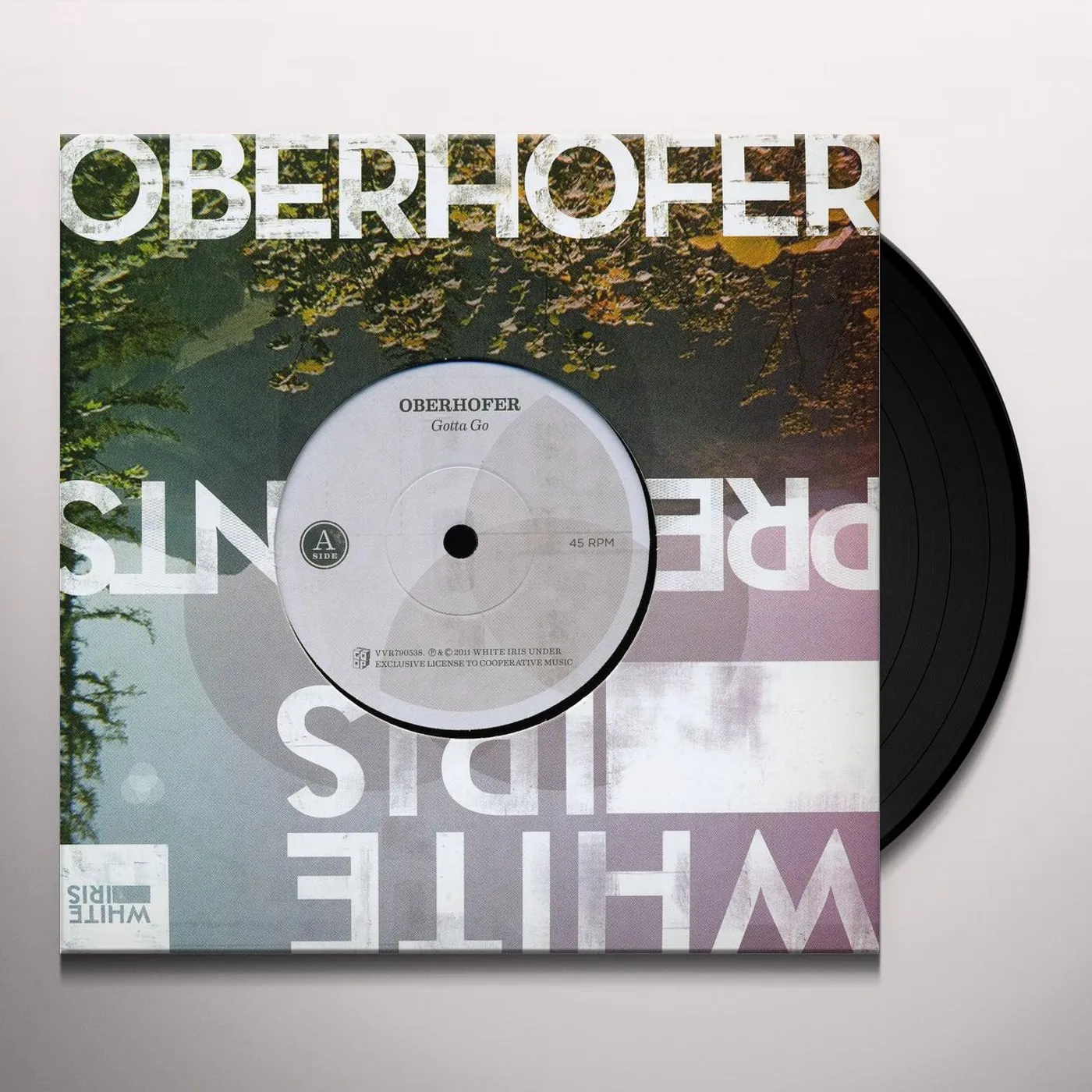Oberhofer Gotta Go Vinyl Record