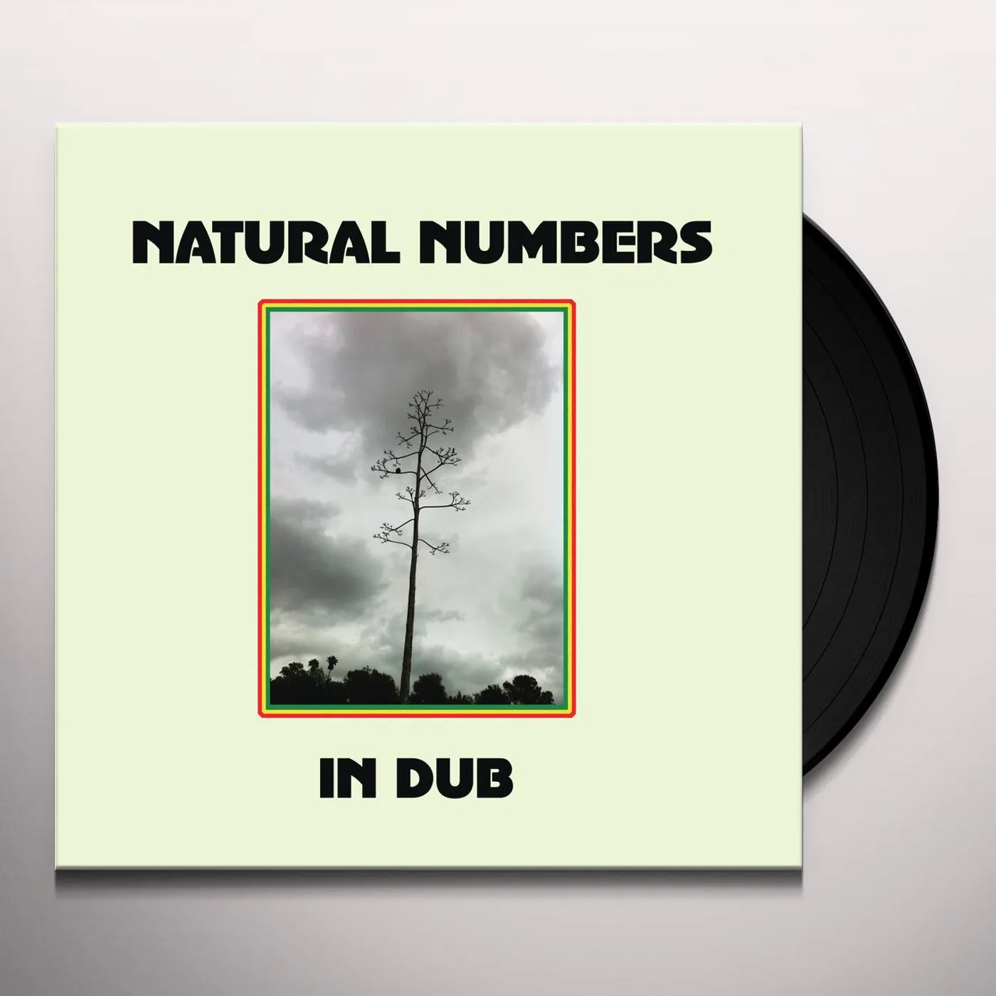 Natural Numbers In Dub Vinyl Record