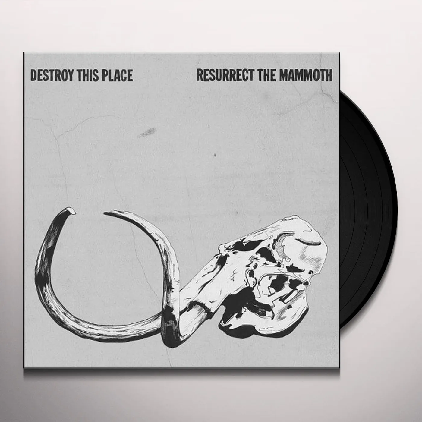 Destroy This Place Resurrect the Mammoth Vinyl Record