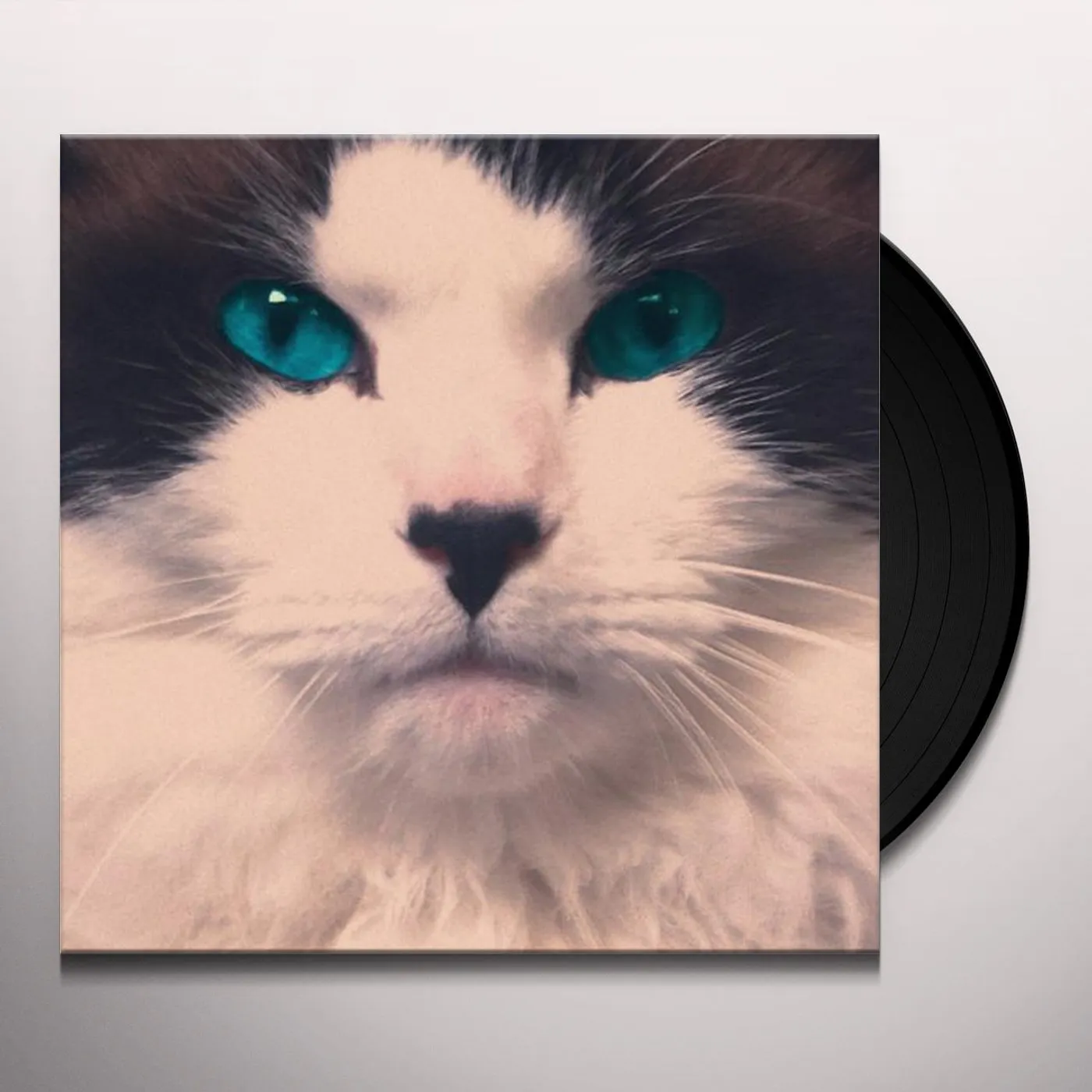 The Exquisites Vinyl Record