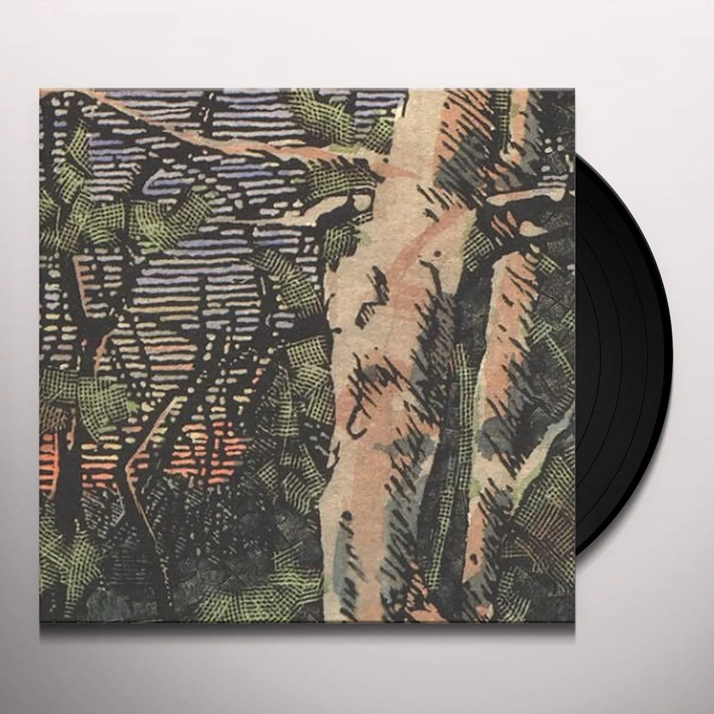 Anomoanon ASLEEP MANY YEARS IN THE WOOD Vinyl Record