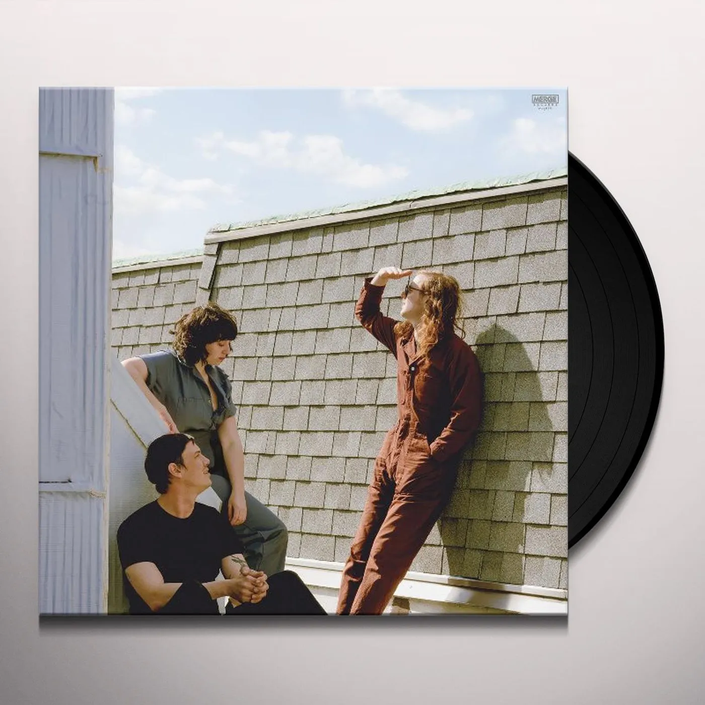Swearin' Fall into the Sun Vinyl Record