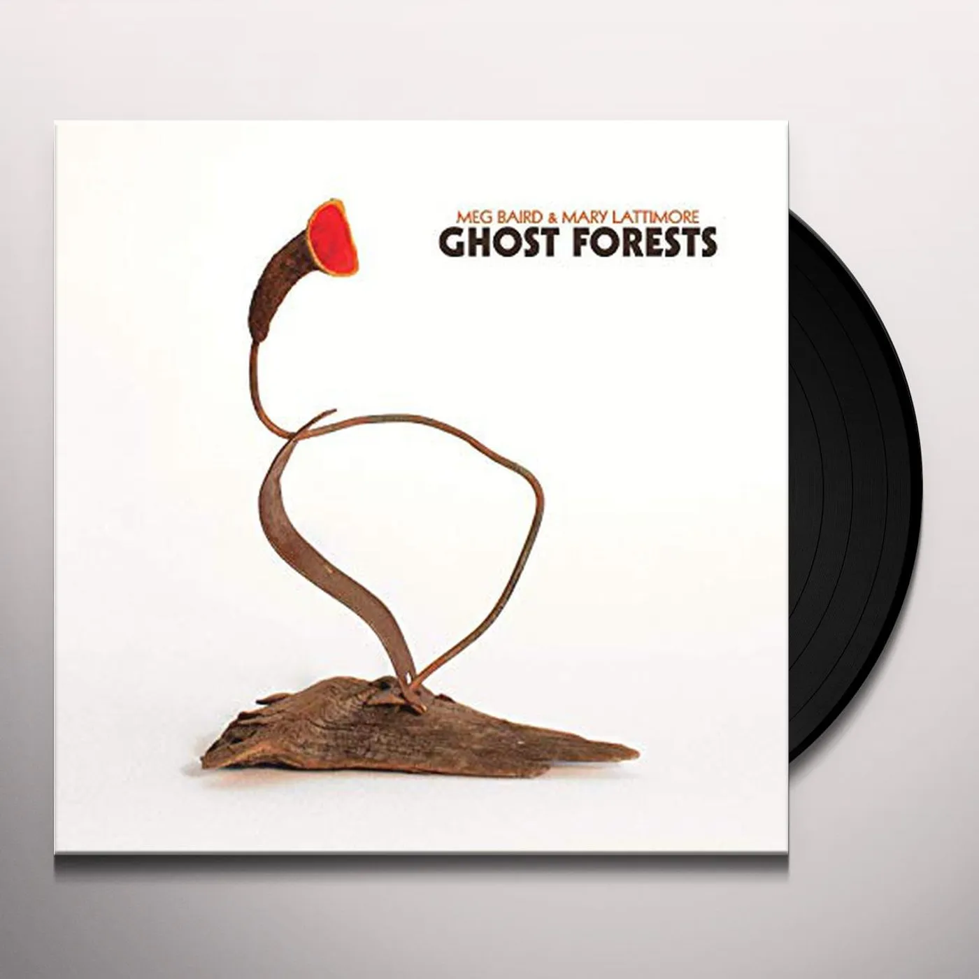 Meg Baird Ghost Forests Vinyl Record