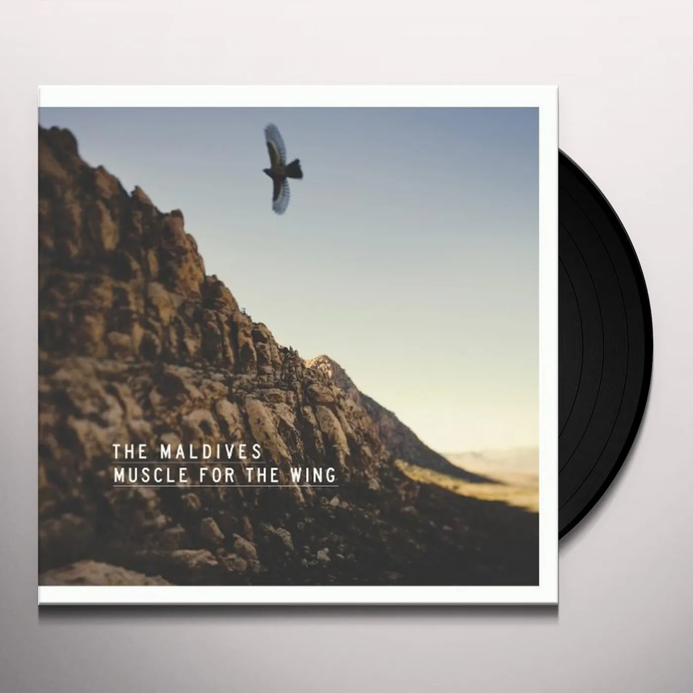 The Maldives MUSCLE FOR WING Vinyl Record