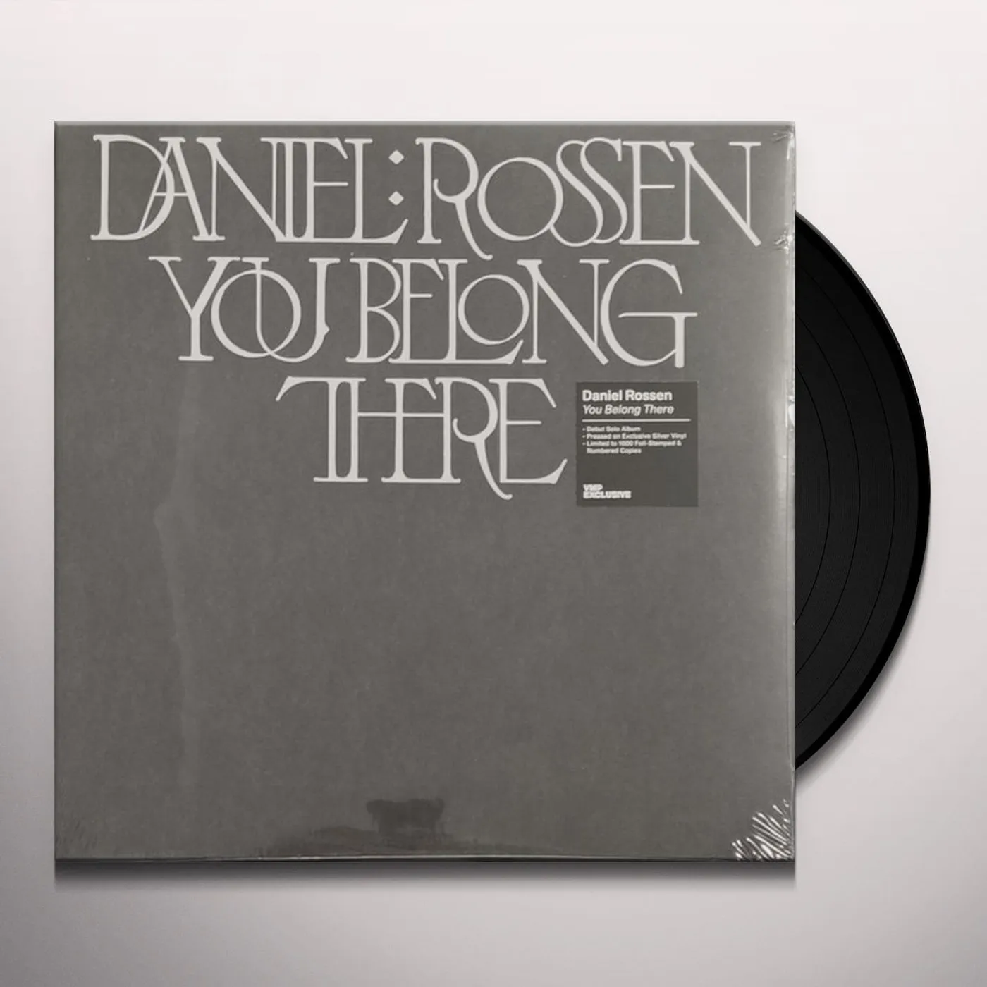 Daniel Rossen YOU BELONG THERE Vinyl Record