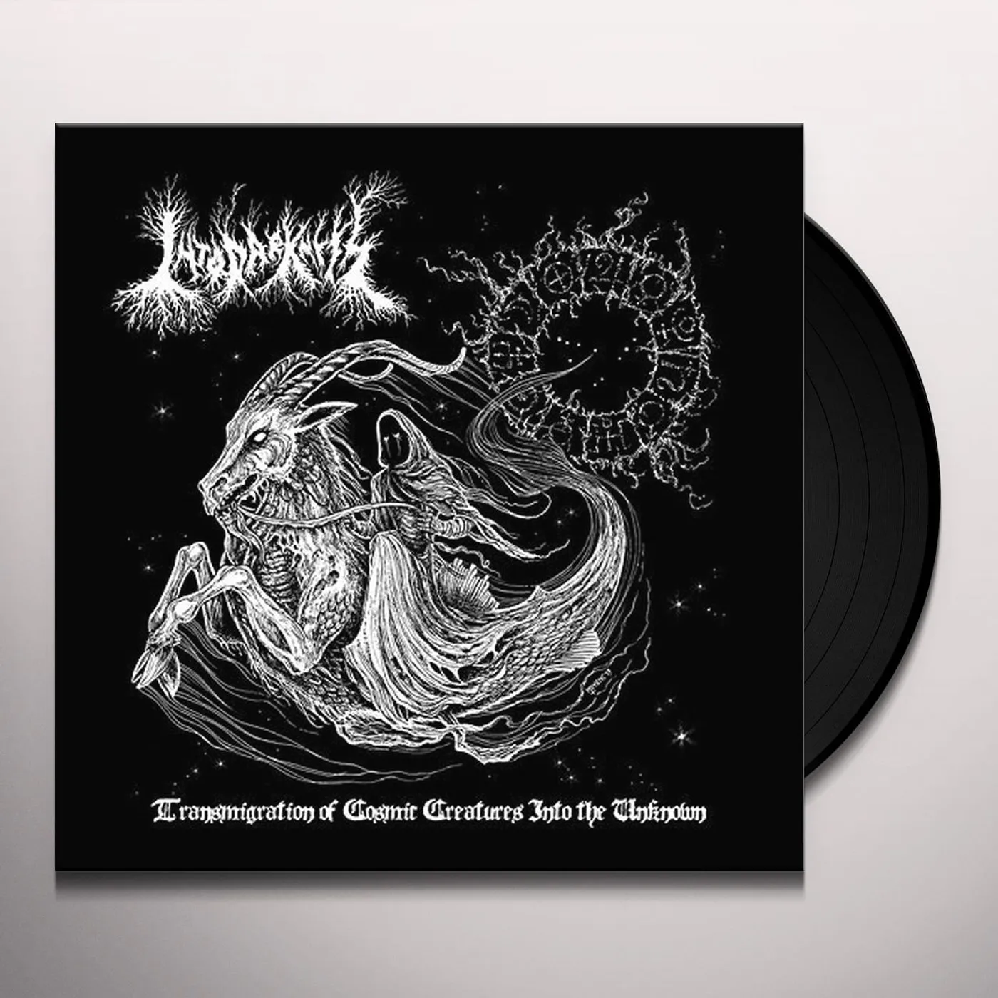 Into Darkness TRANSMIGRATION OF COSMIC CREATURES INTO THE UNKNOW Vinyl Record
