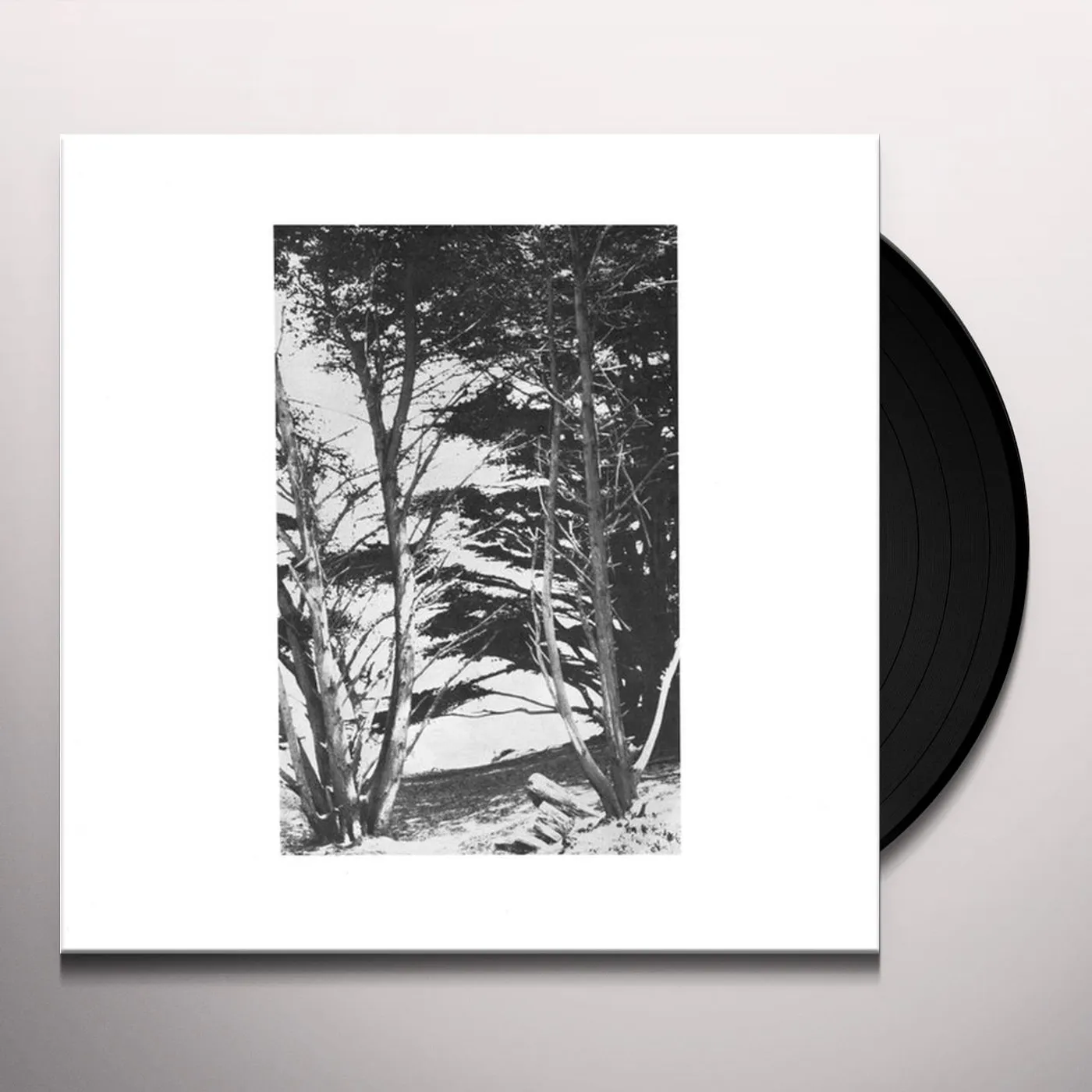Rick Deitrick Gentle Wilderness (LP) Vinyl Record