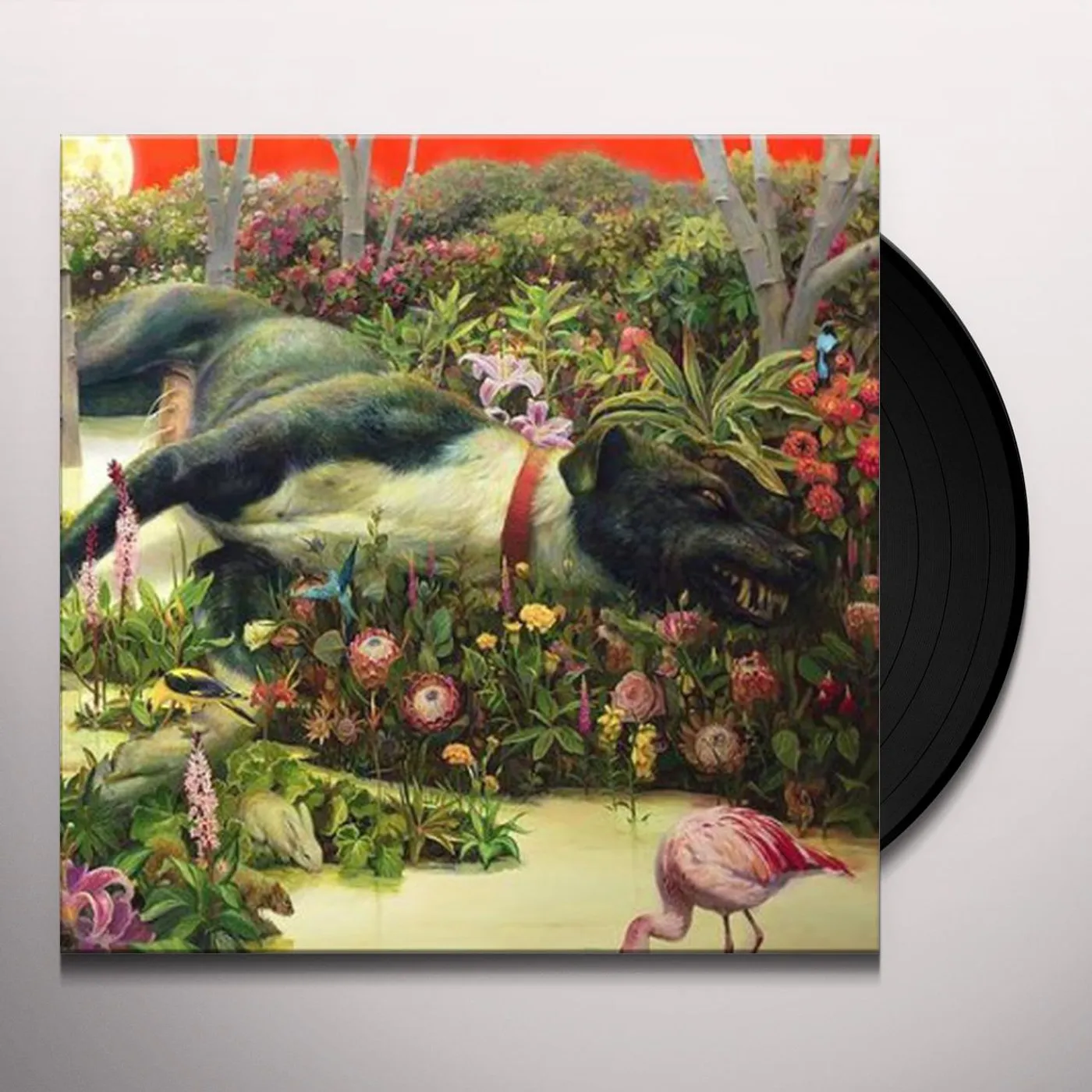 Rival Sons Feral Roots Vinyl Record