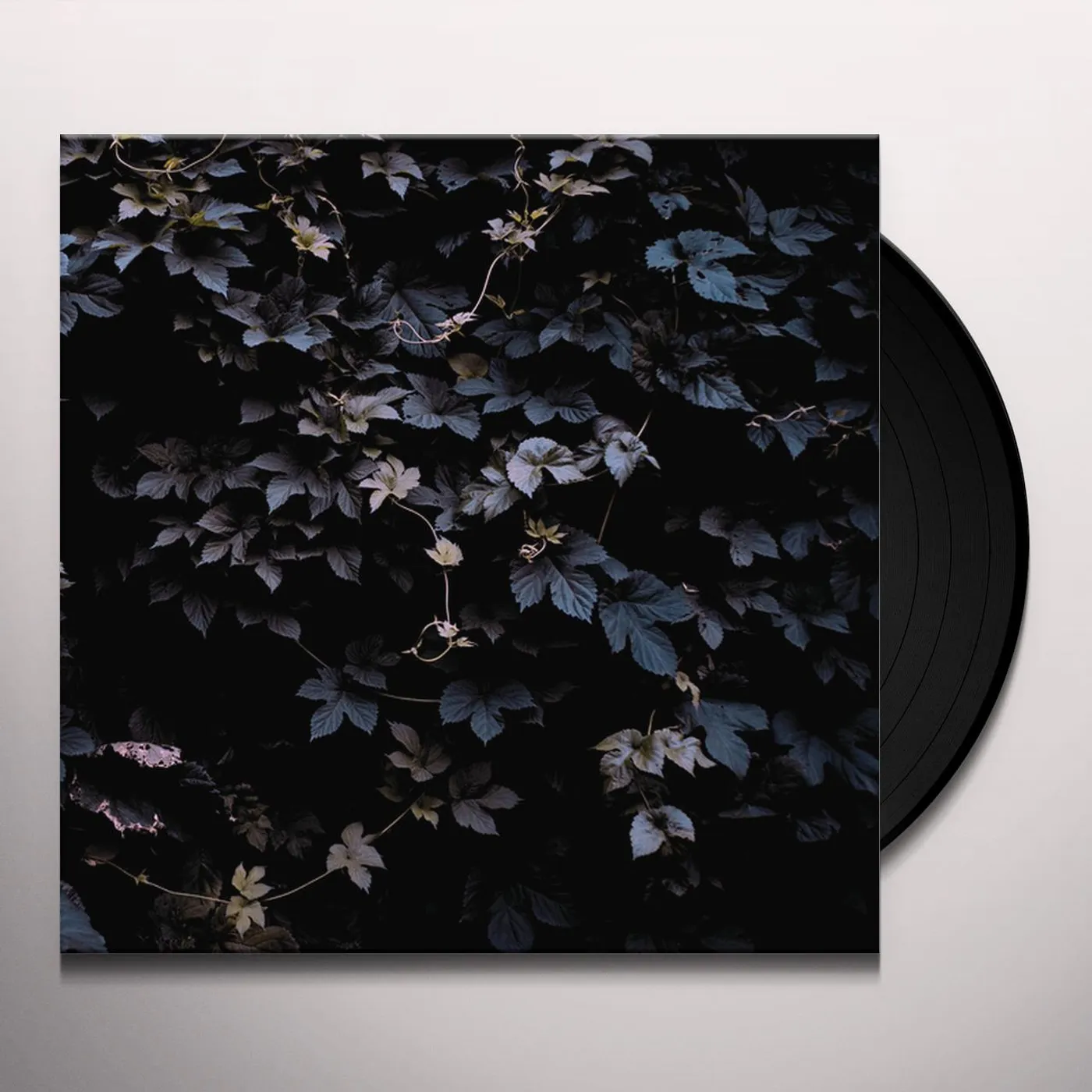 Michael Vallera Vivid Flu Vinyl Record