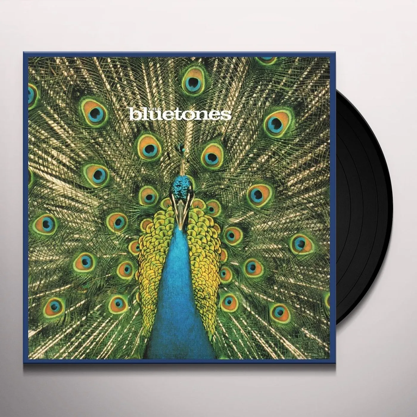 The Bluetones EXPECTING TO FLY: 20TH ANNIVERSARY VINYL EDITION Vinyl Record