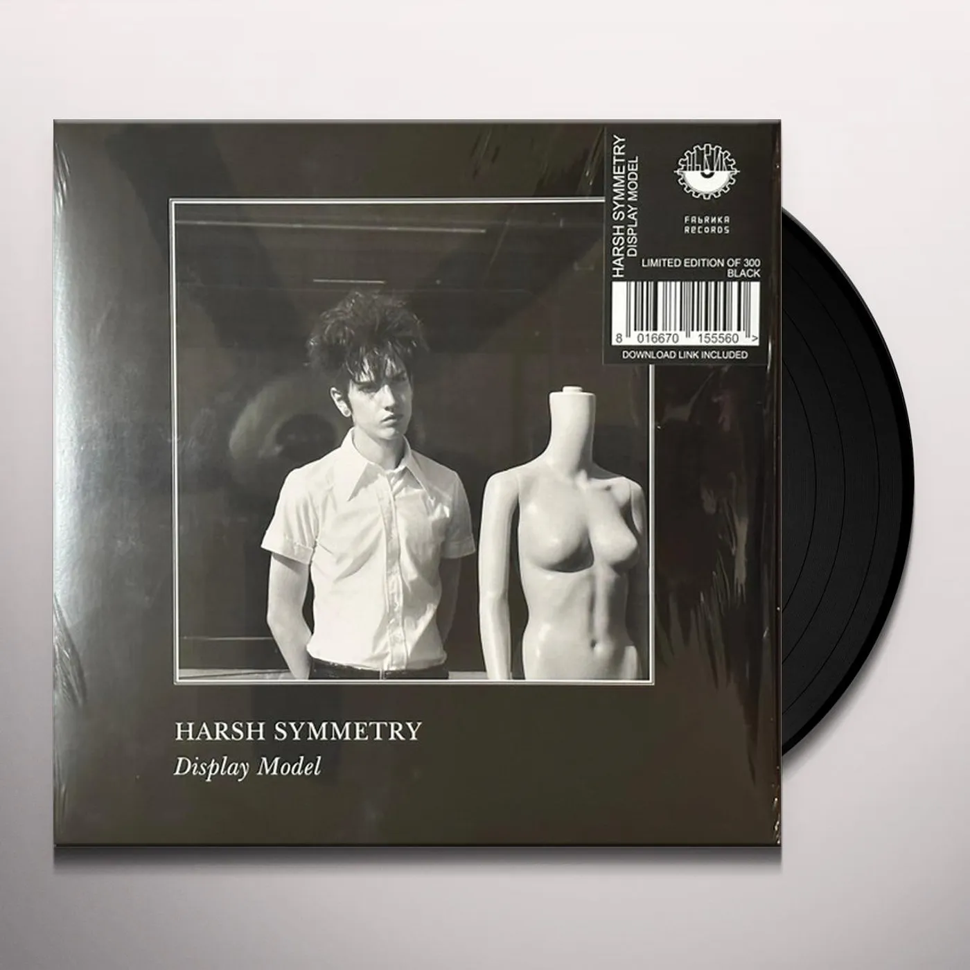 Harsh Symmetry Display Model Vinyl Record