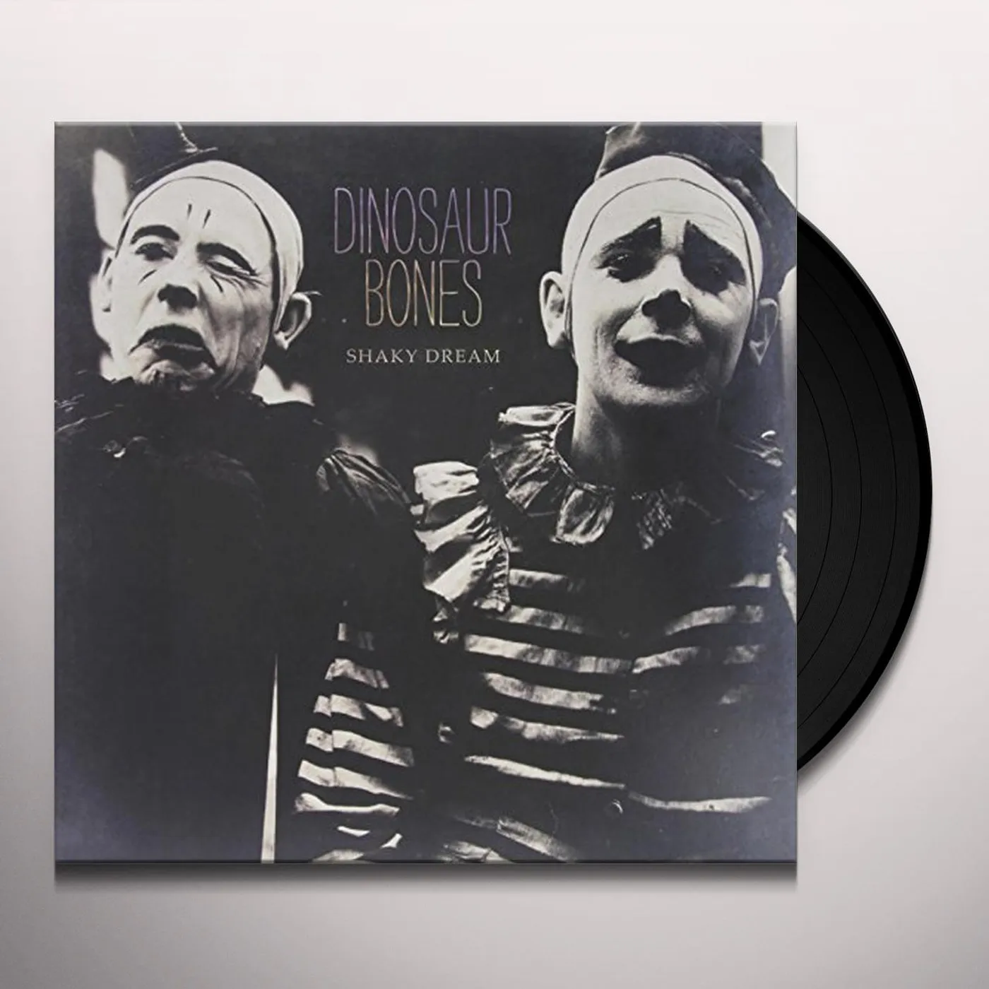Dinosaur Bones SHAKY DREAM (180 GRAM VINYL) Vinyl Record