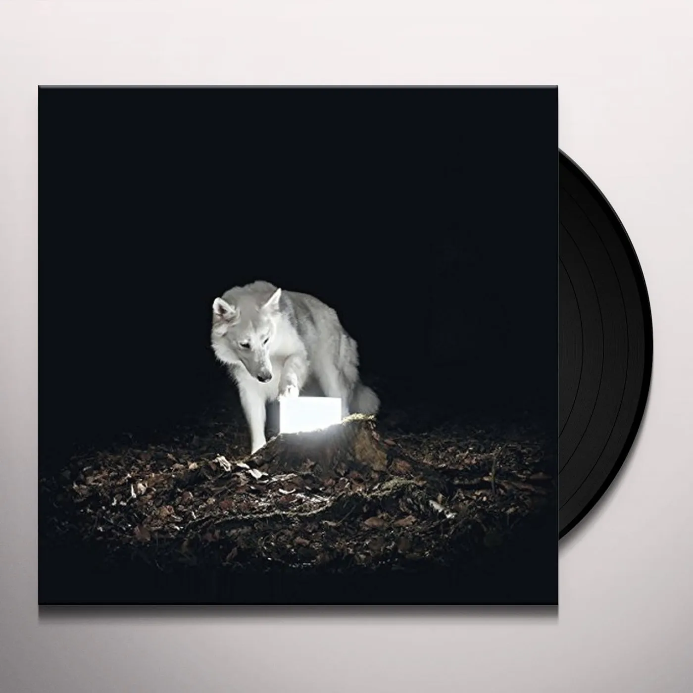 Vanishing Life Surveillance Vinyl Record