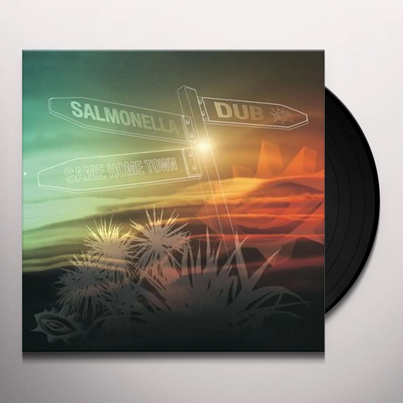 Salmonella Dub SAME HOME TOWN Vinyl Record