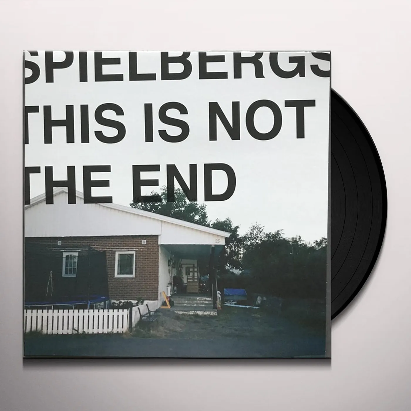Spielbergs THIS IS NOT THE END Vinyl Record