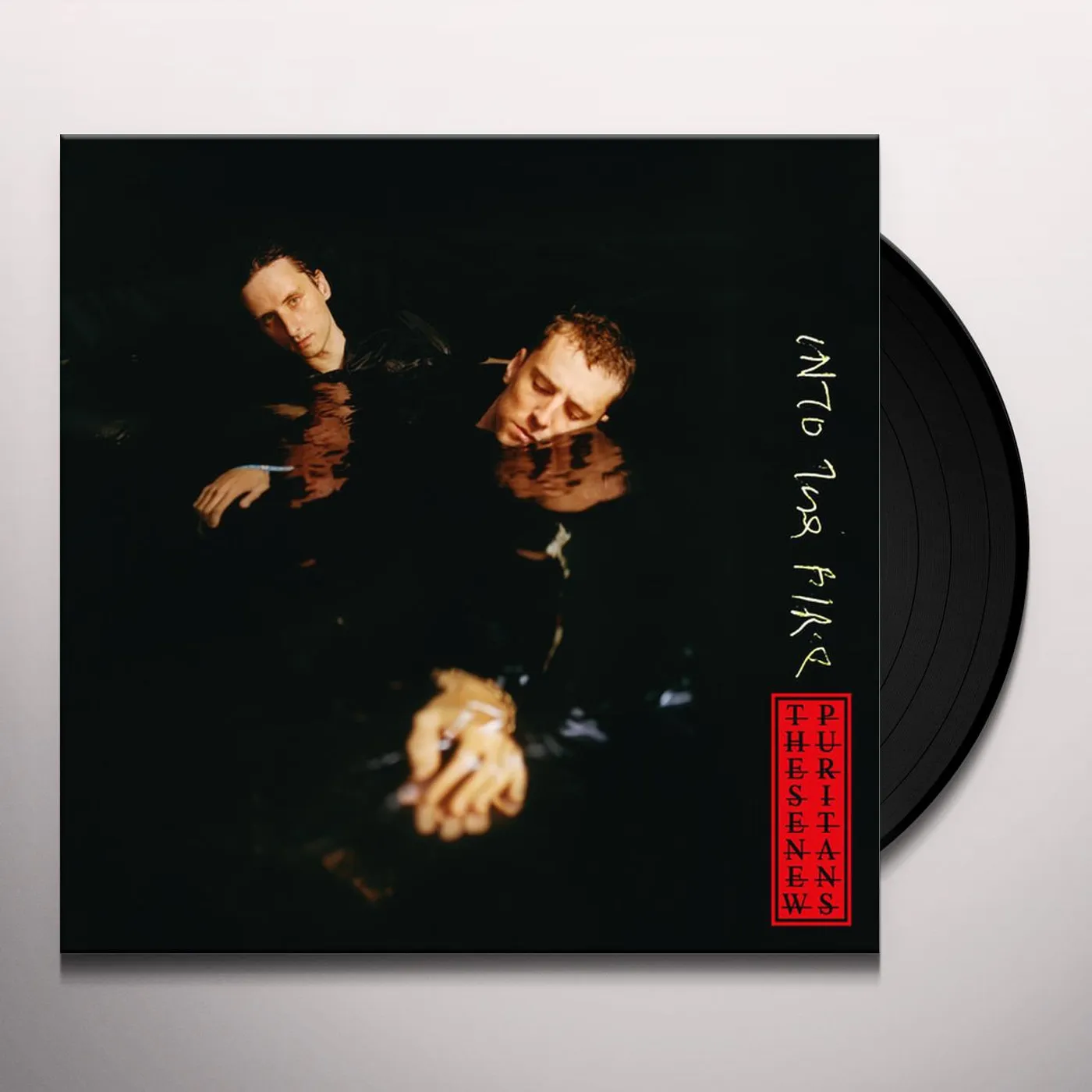 These New Puritans Into the Fire Vinyl Record