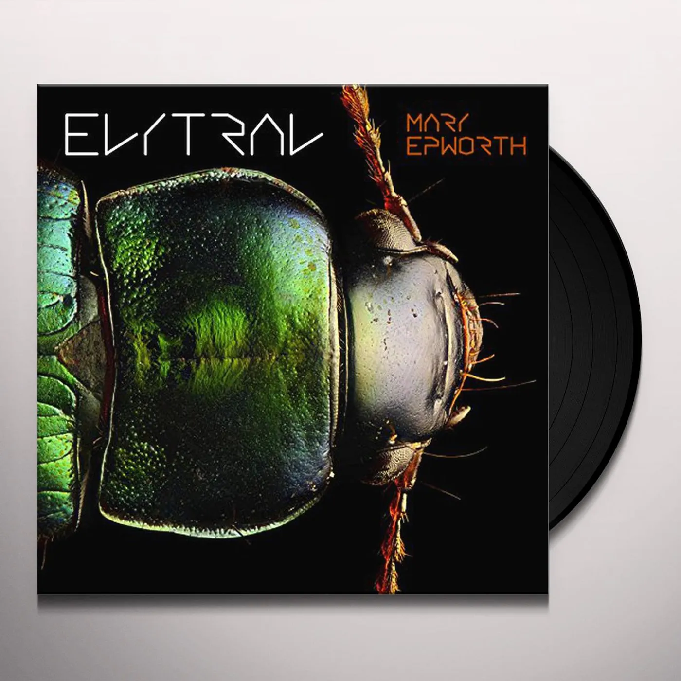 Mary Epworth Elytral Vinyl Record
