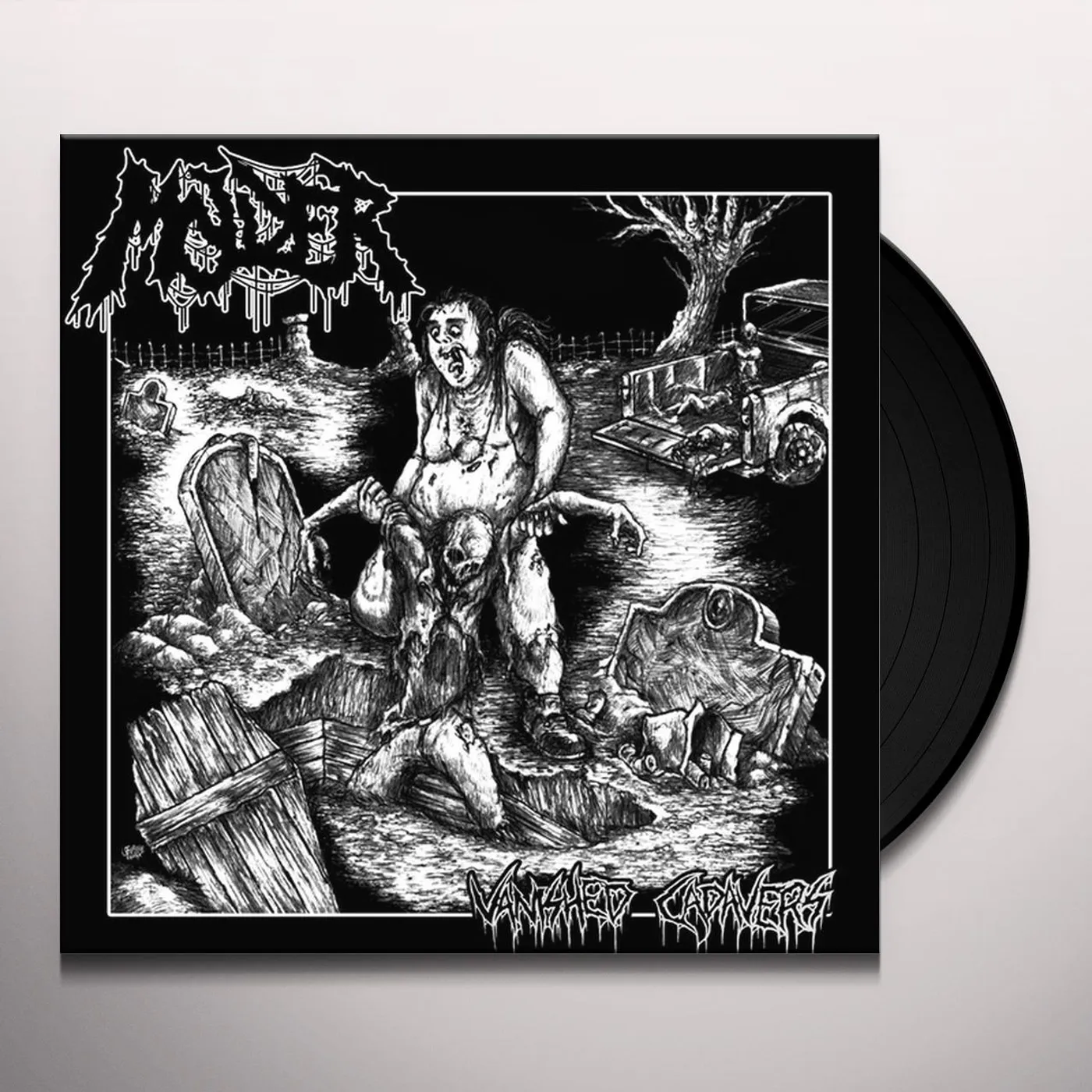 Molder Vanished Cadavers Vinyl Record