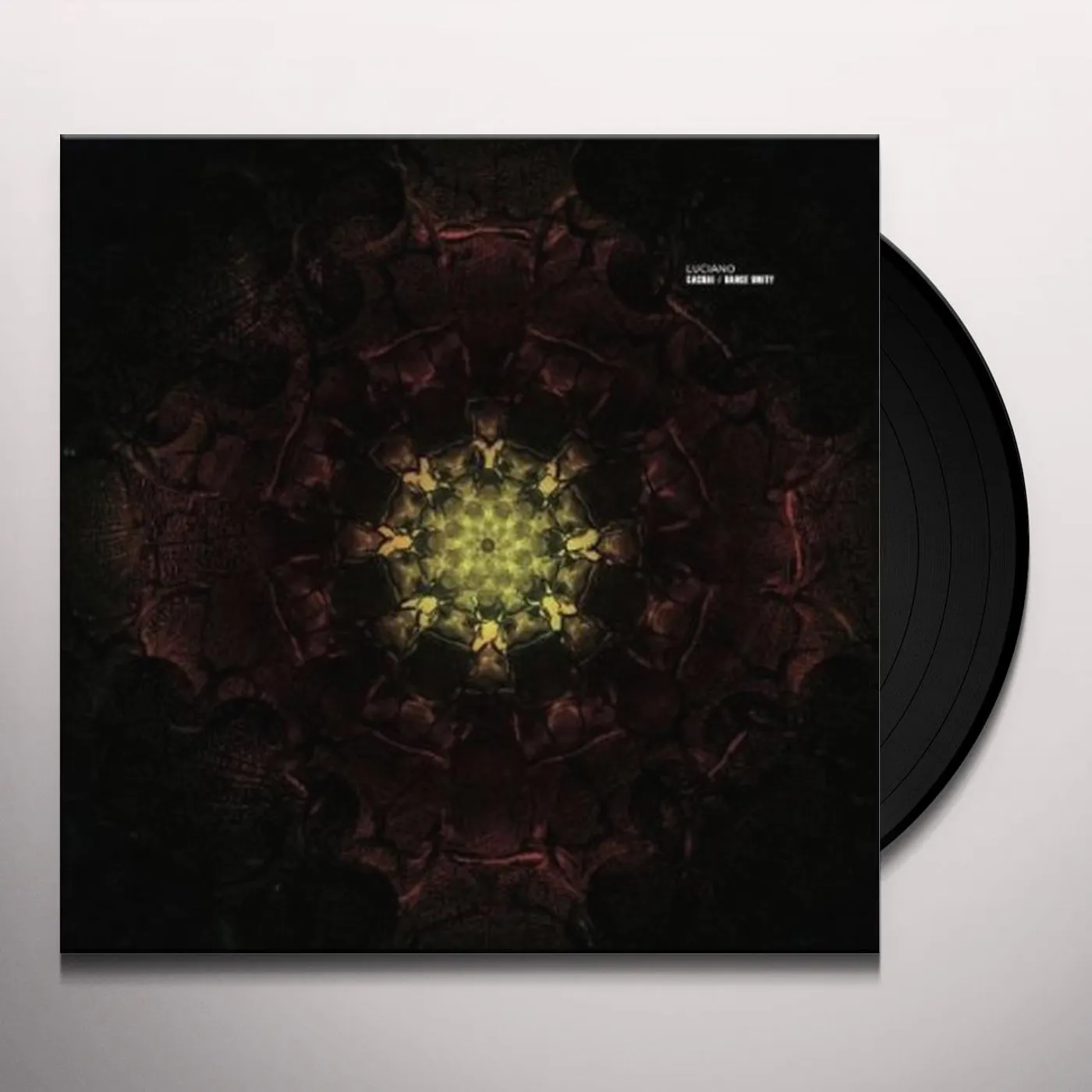 Luciano CACHAI / DANCE UNITY Vinyl Record