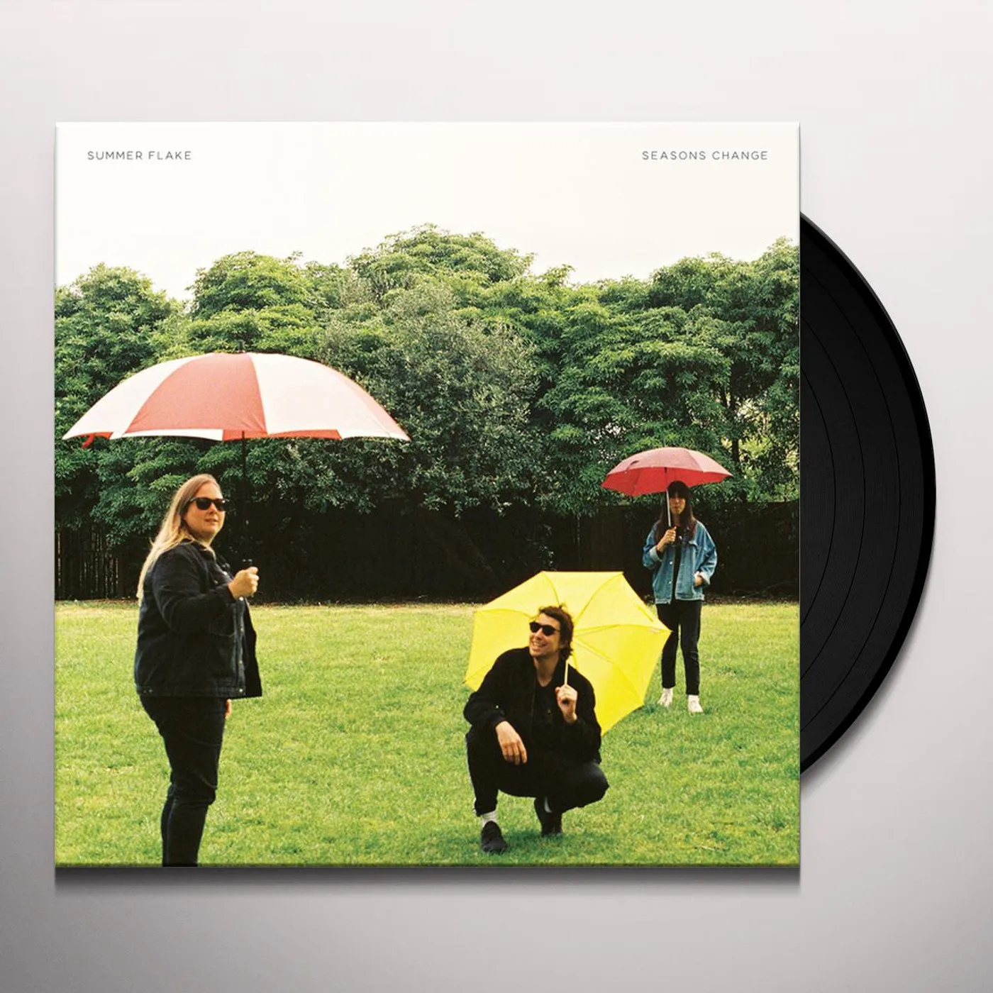 Summer Flake Seasons Change Vinyl Record