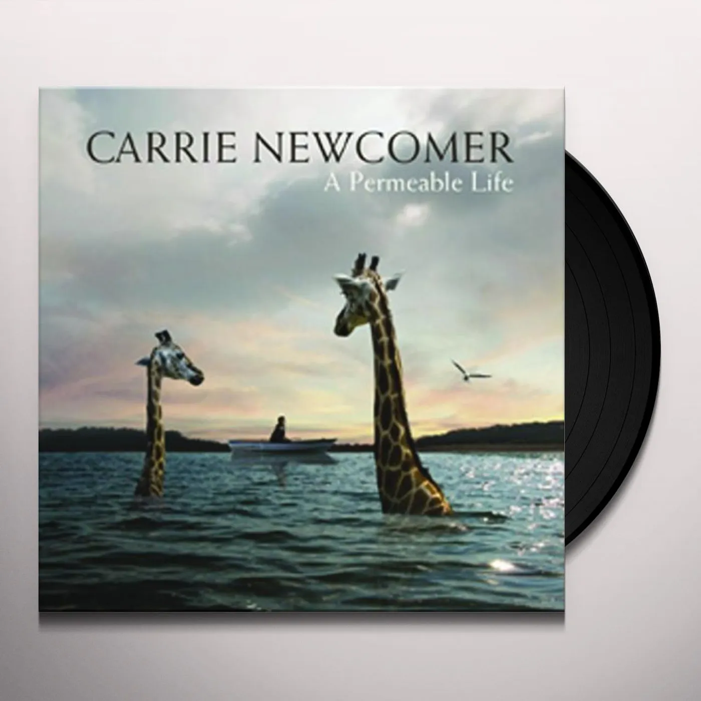 Carrie Newcomer PERMEABLE LIFE Vinyl Record
