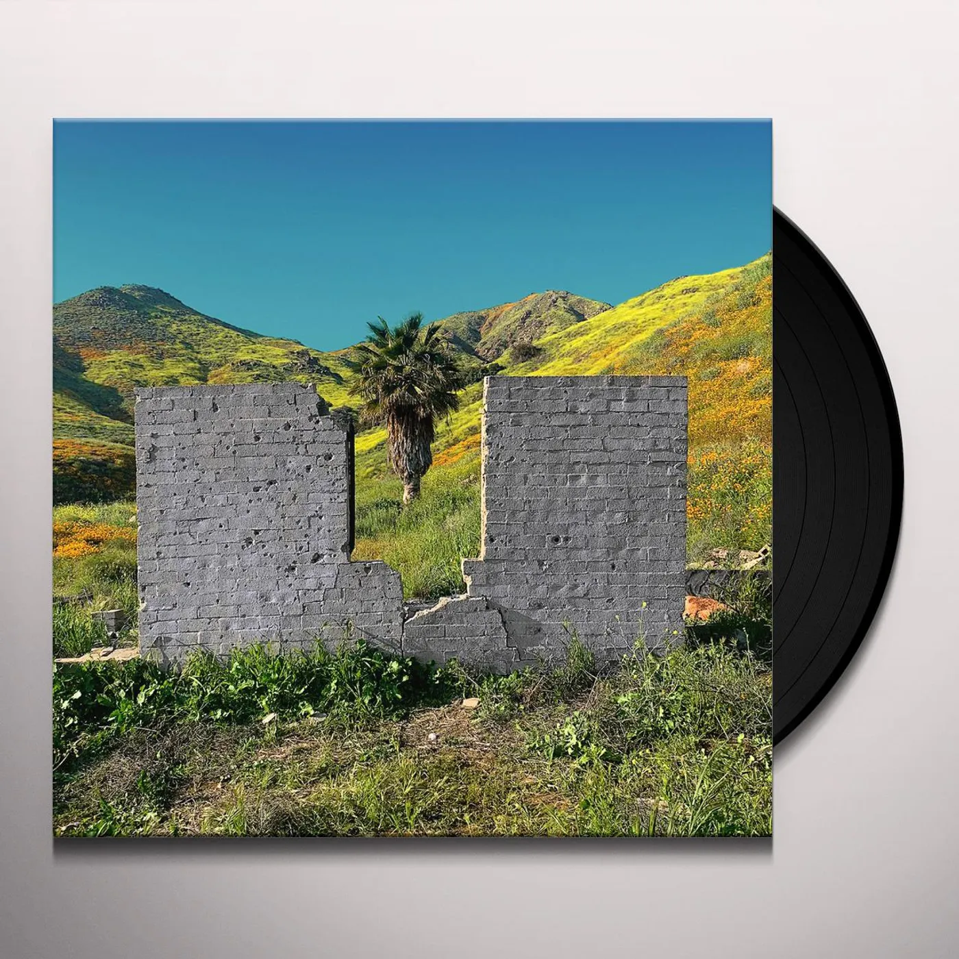 Shopping All Or Nothing Vinyl Record