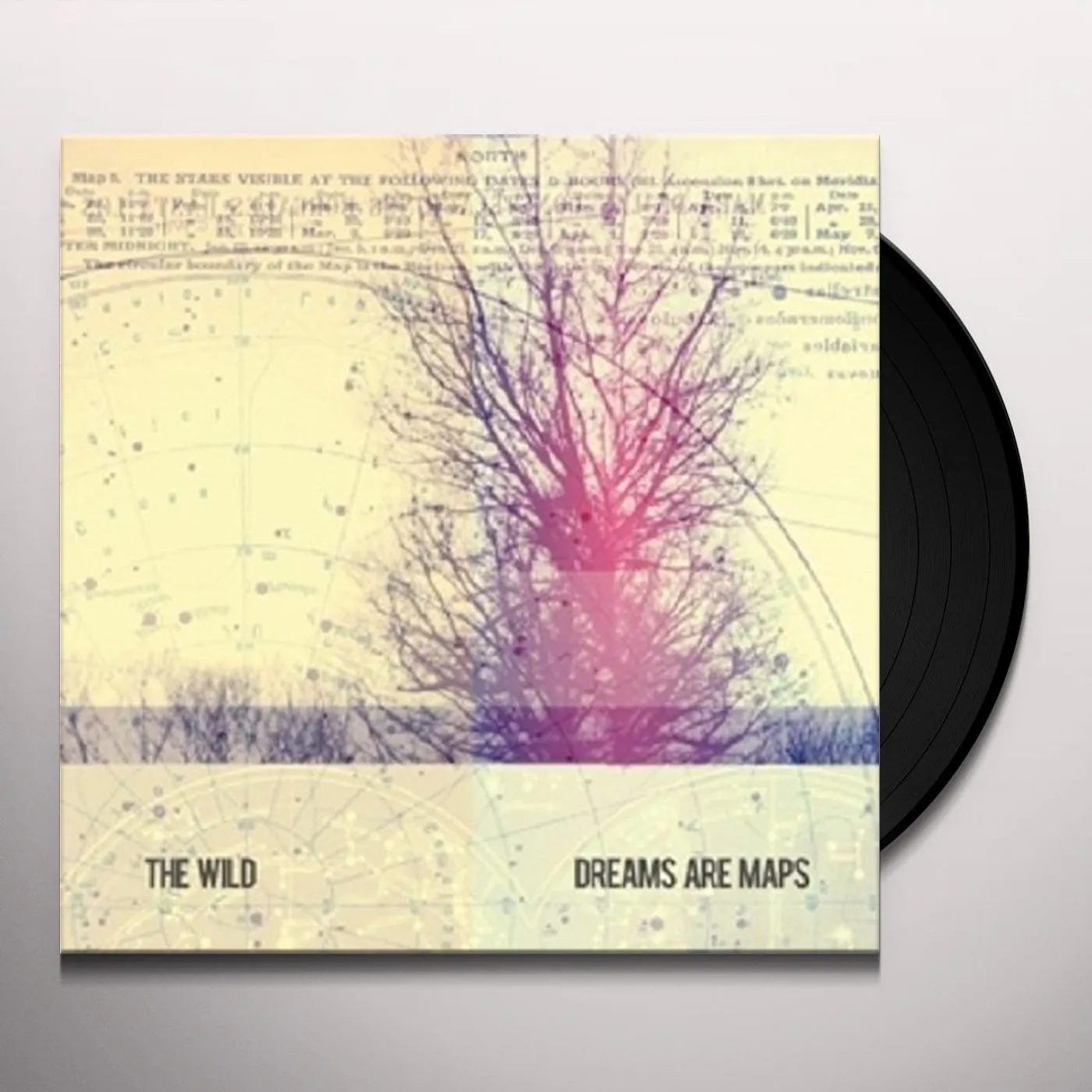 The Wild Dreams Are Maps Vinyl Record