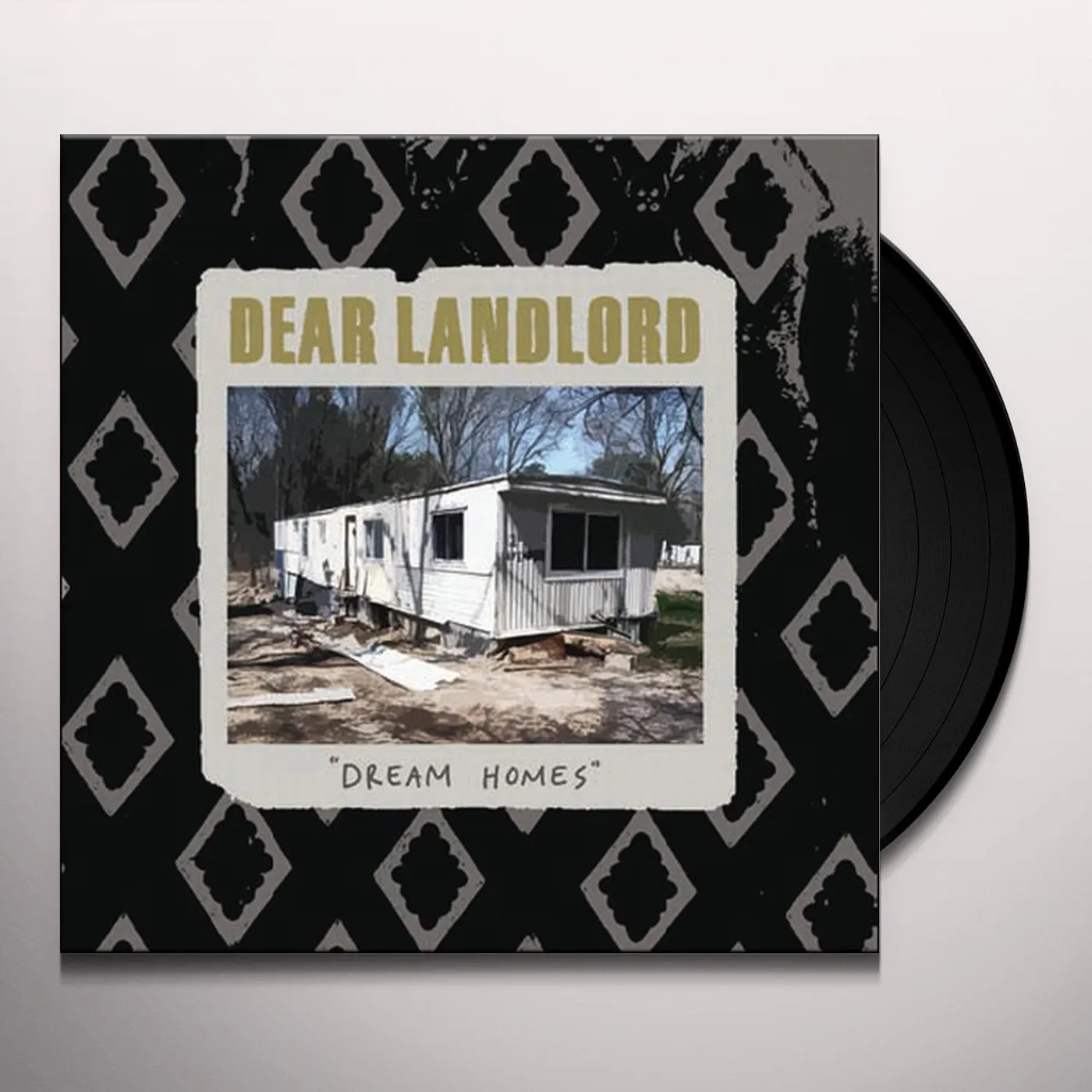 Dear Landlord Dream Homes Vinyl Record