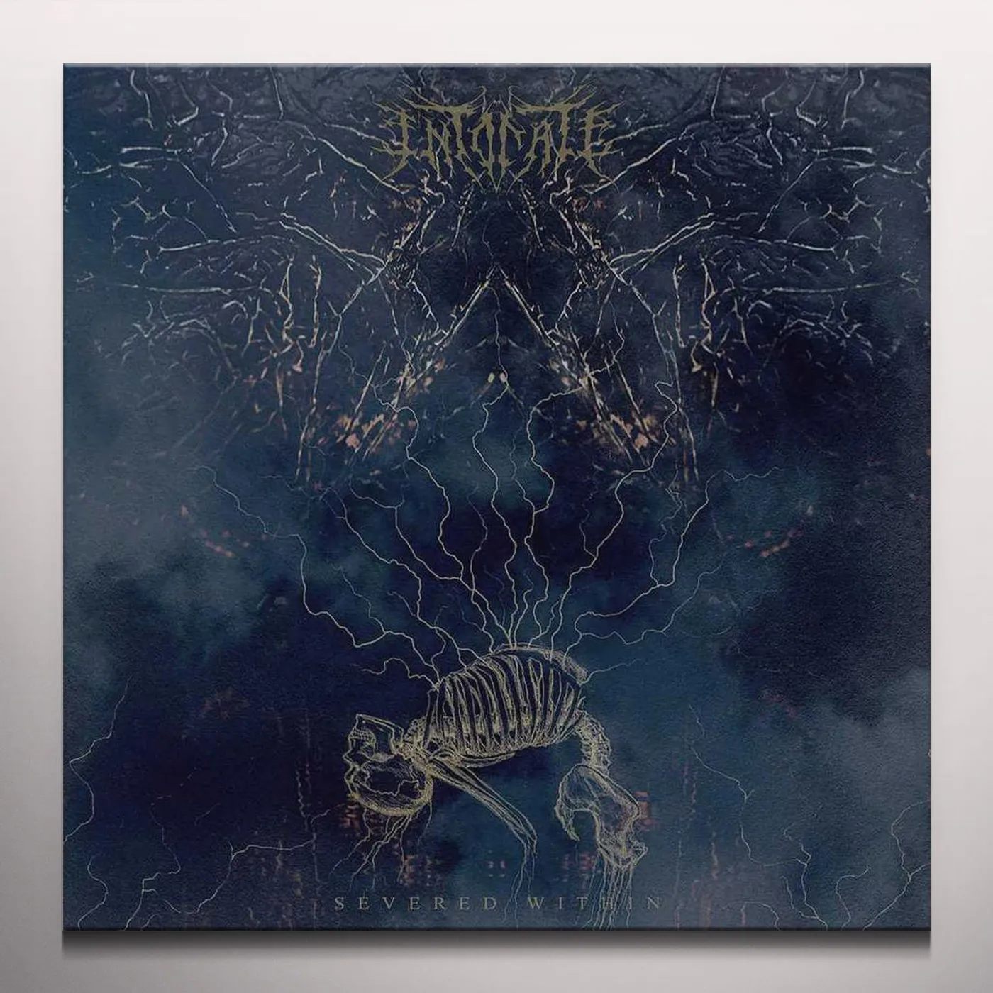 Intonate SEVERED WITHIN (RANDOM MIXED COLOR VINYL) Vinyl Record
