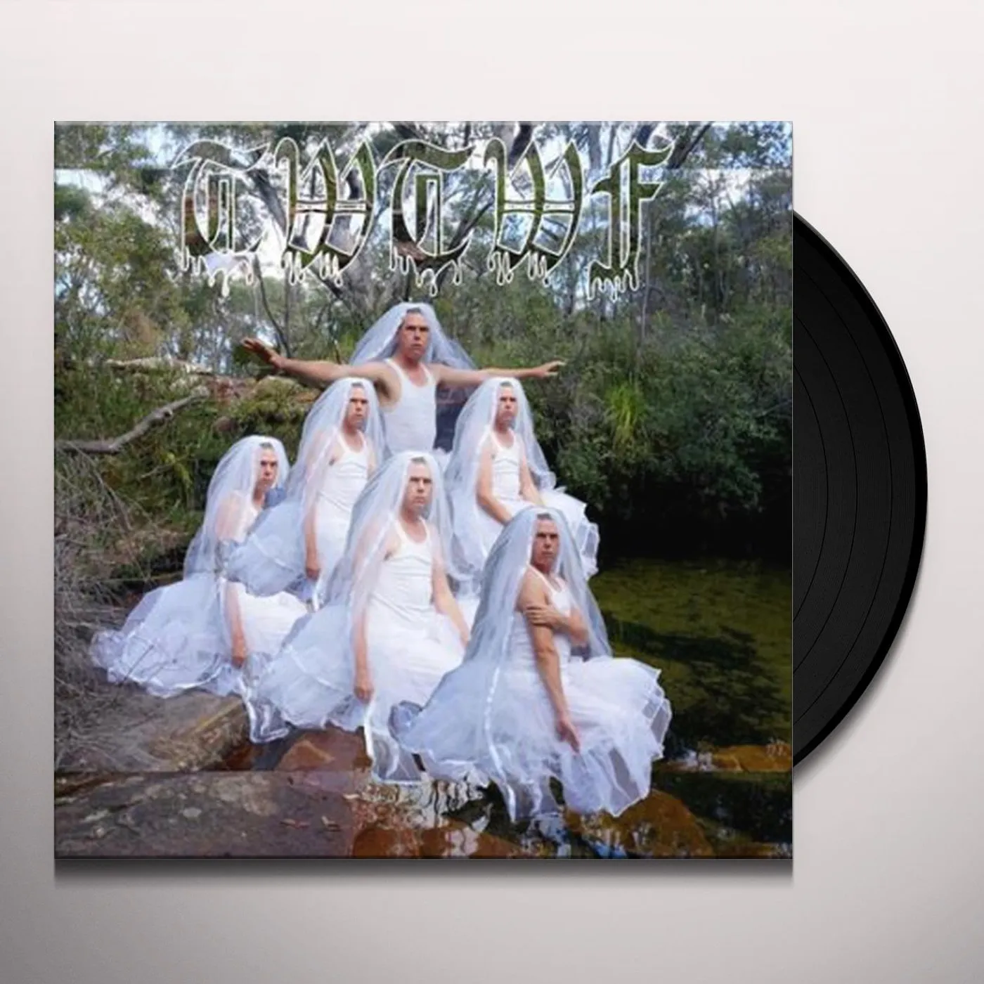 Liars Titles With The Word Fountain Vinyl Record