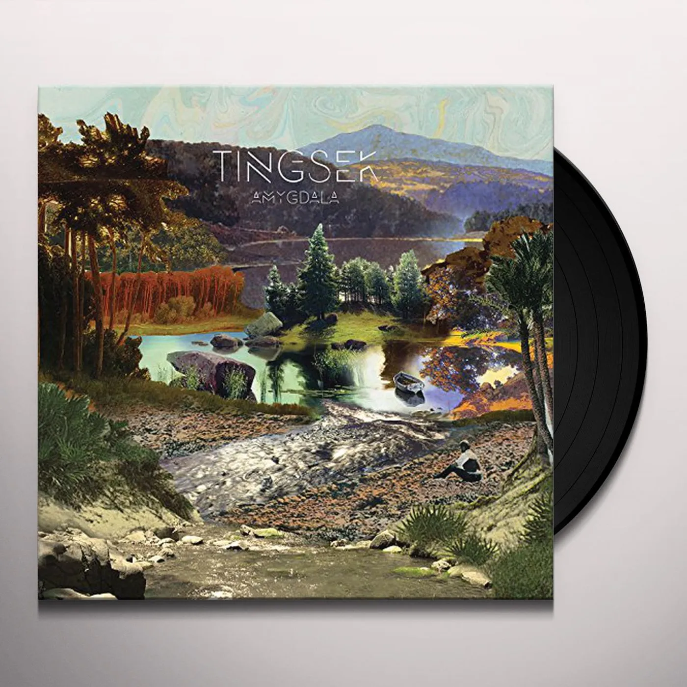 Tingsek Amygdala Vinyl Record