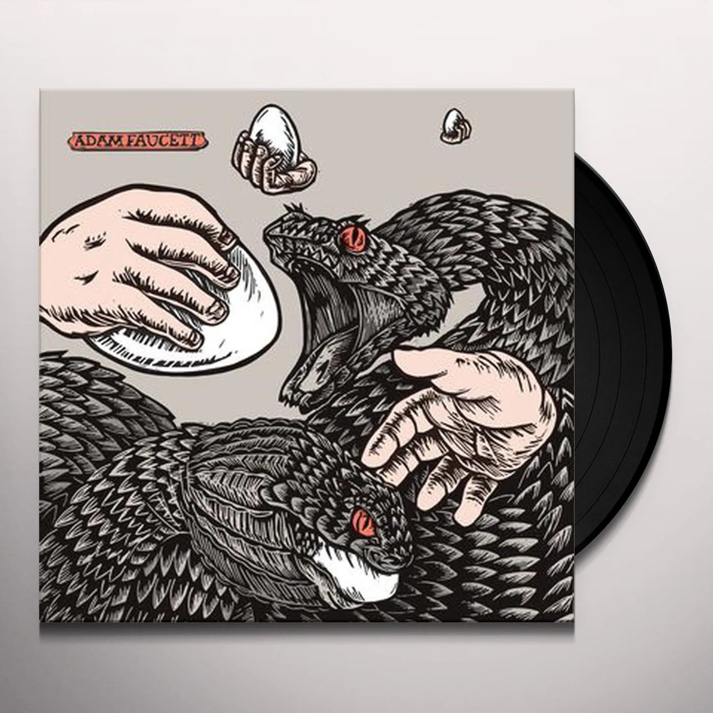 Adam Faucett It Took the Shape of a Bird Vinyl Record