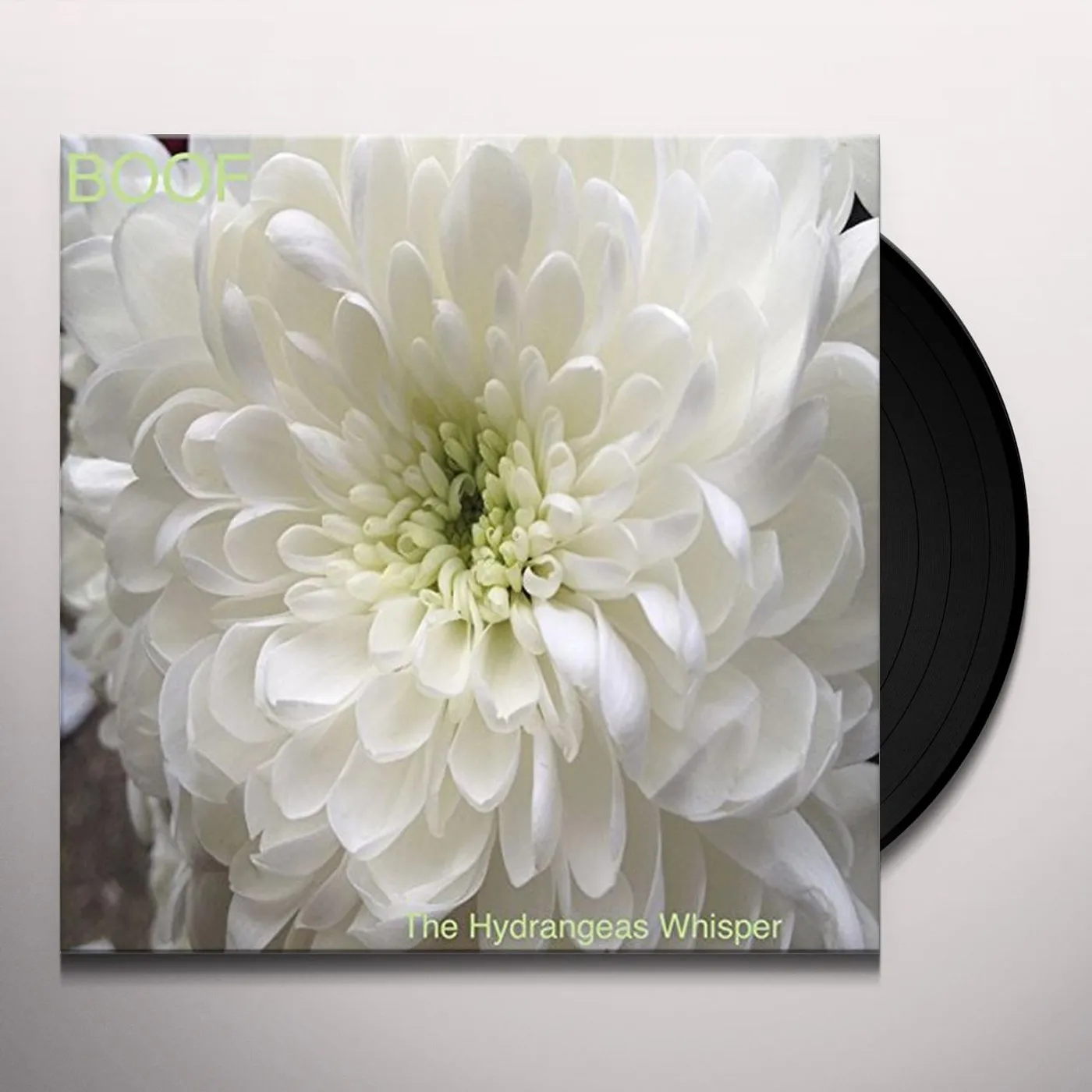 Boof HYDRANGEAS WHISPER Vinyl Record