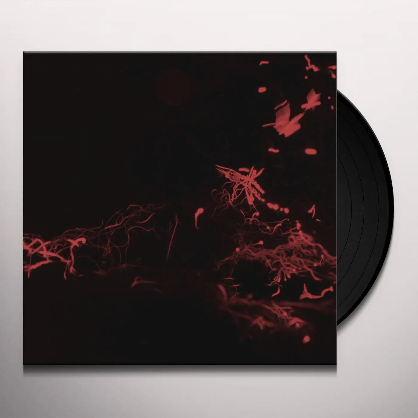 Svarte Greiner Moss Garden Vinyl Record