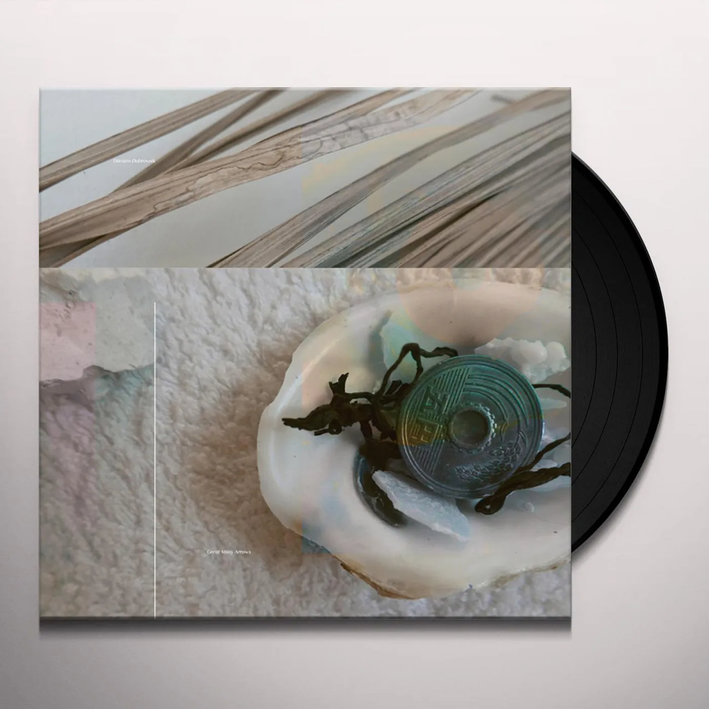 Damien Dubrovnik Great Many Arrows Vinyl Record