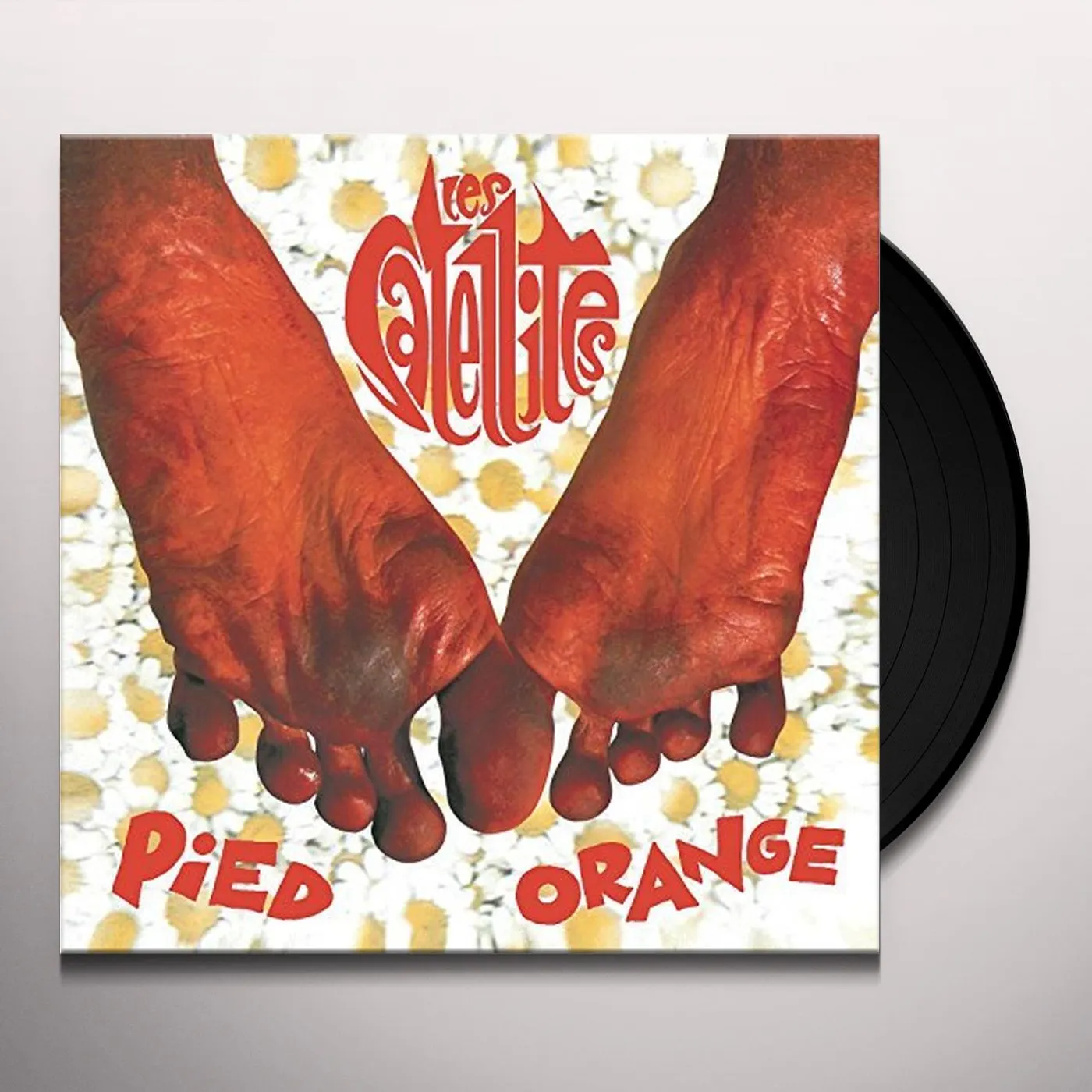 Satellites Pied Orange Vinyl Record