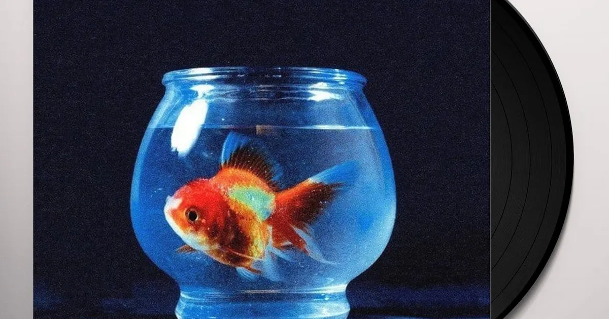 eyJidWNrZXQiOiJtZXJjaGJhci1pbW