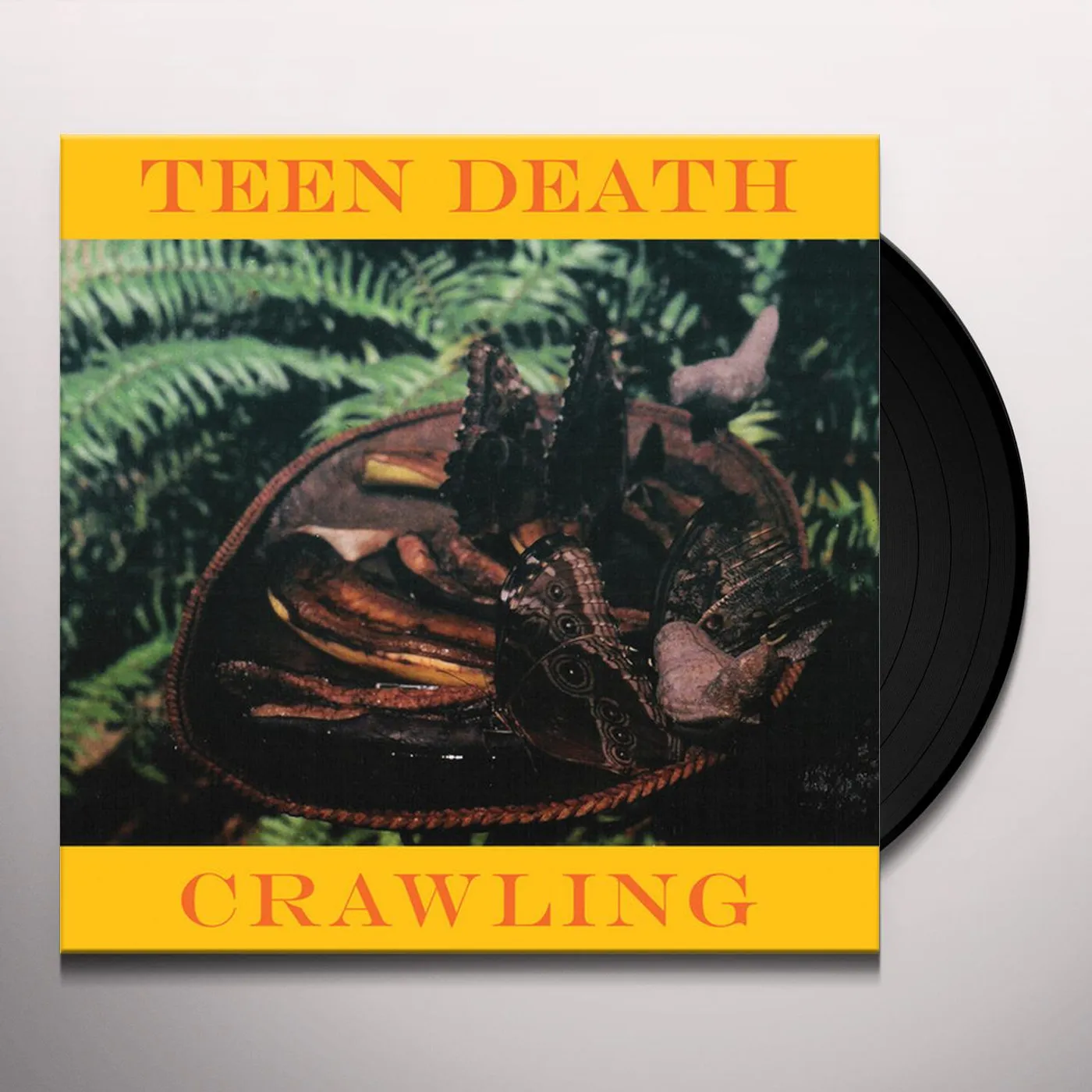 Teen Death CRAWLING & MORE Vinyl Record
